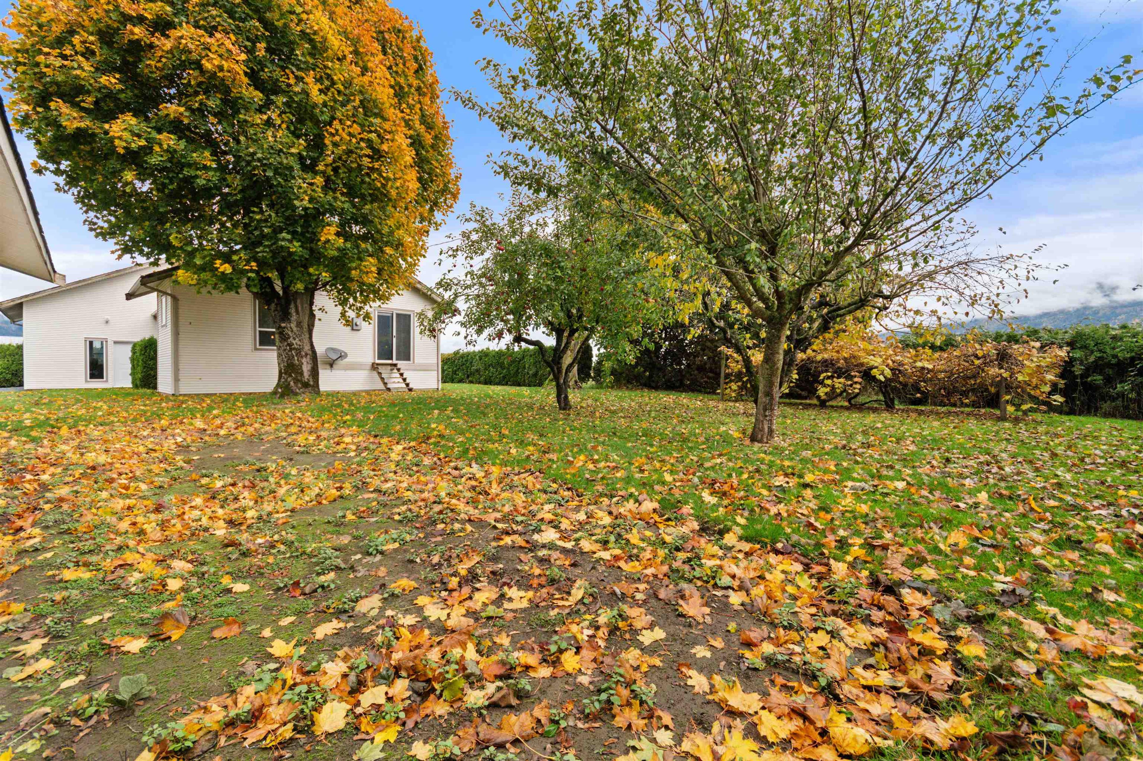 39965 NO. 5 ROAD - Image 2