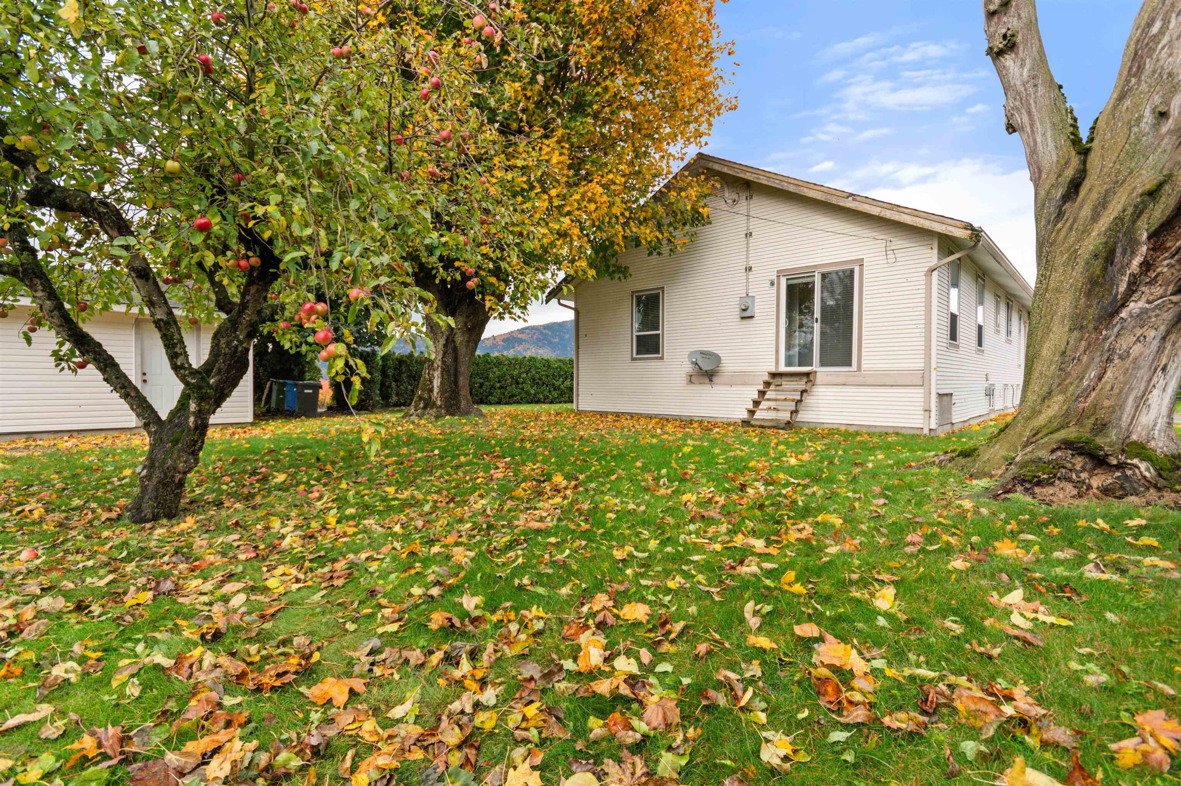 39965 NO. 5 ROAD - Image 3