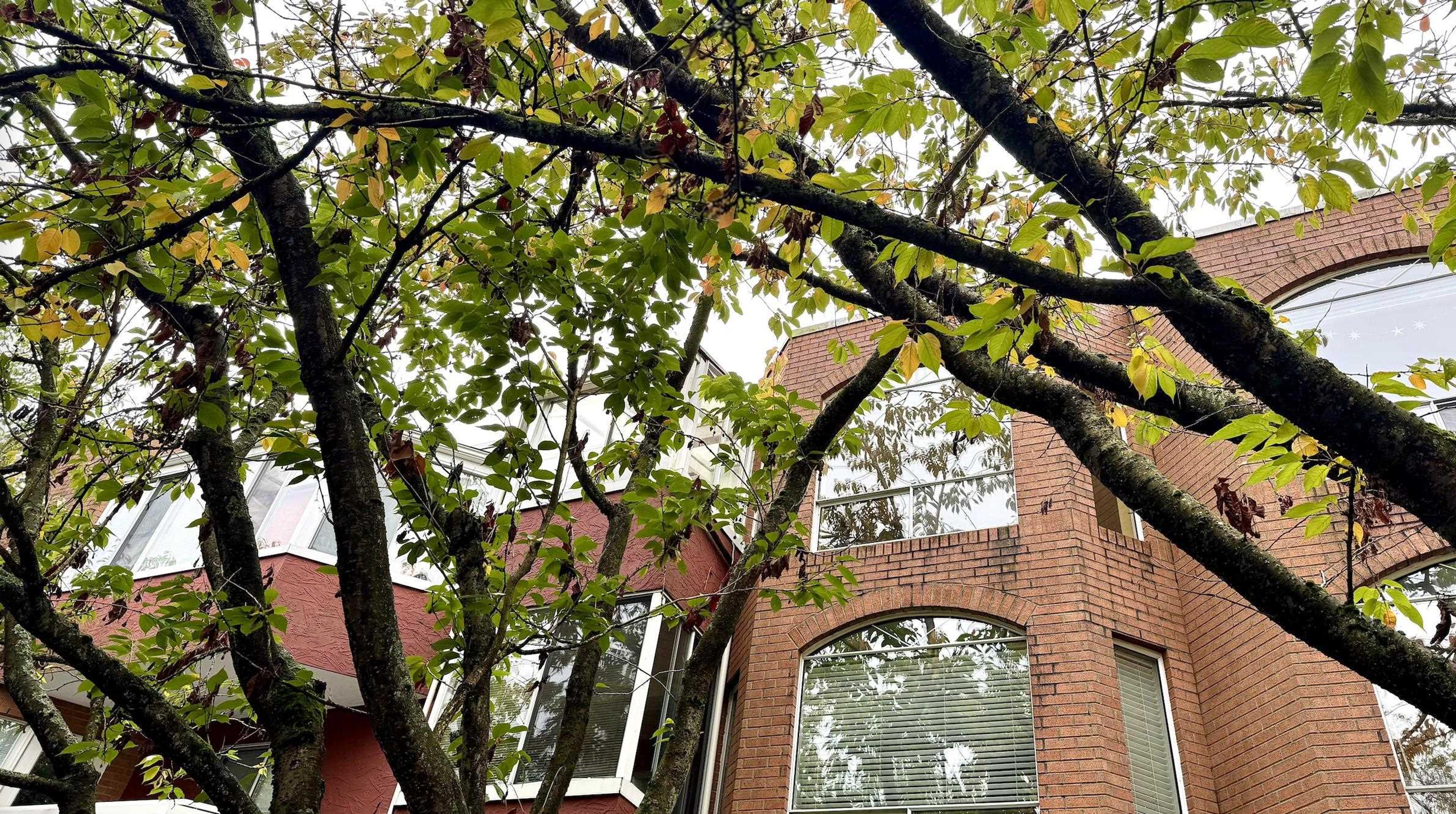 1010 Chilco Street, Vancouver - Exteriors - Photo 1