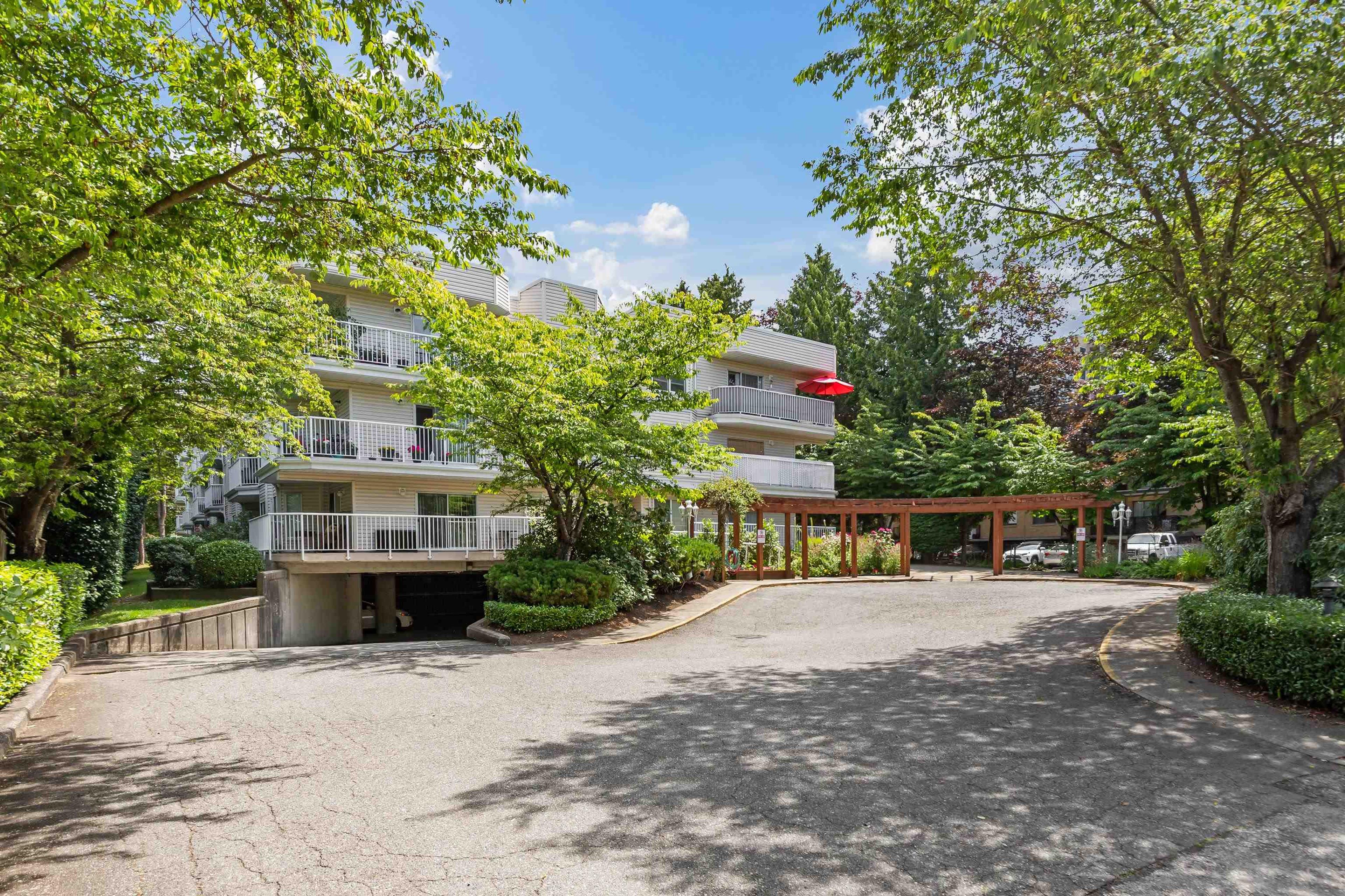 12206 224 Street, Maple Ridge - Exteriors - Photo 5