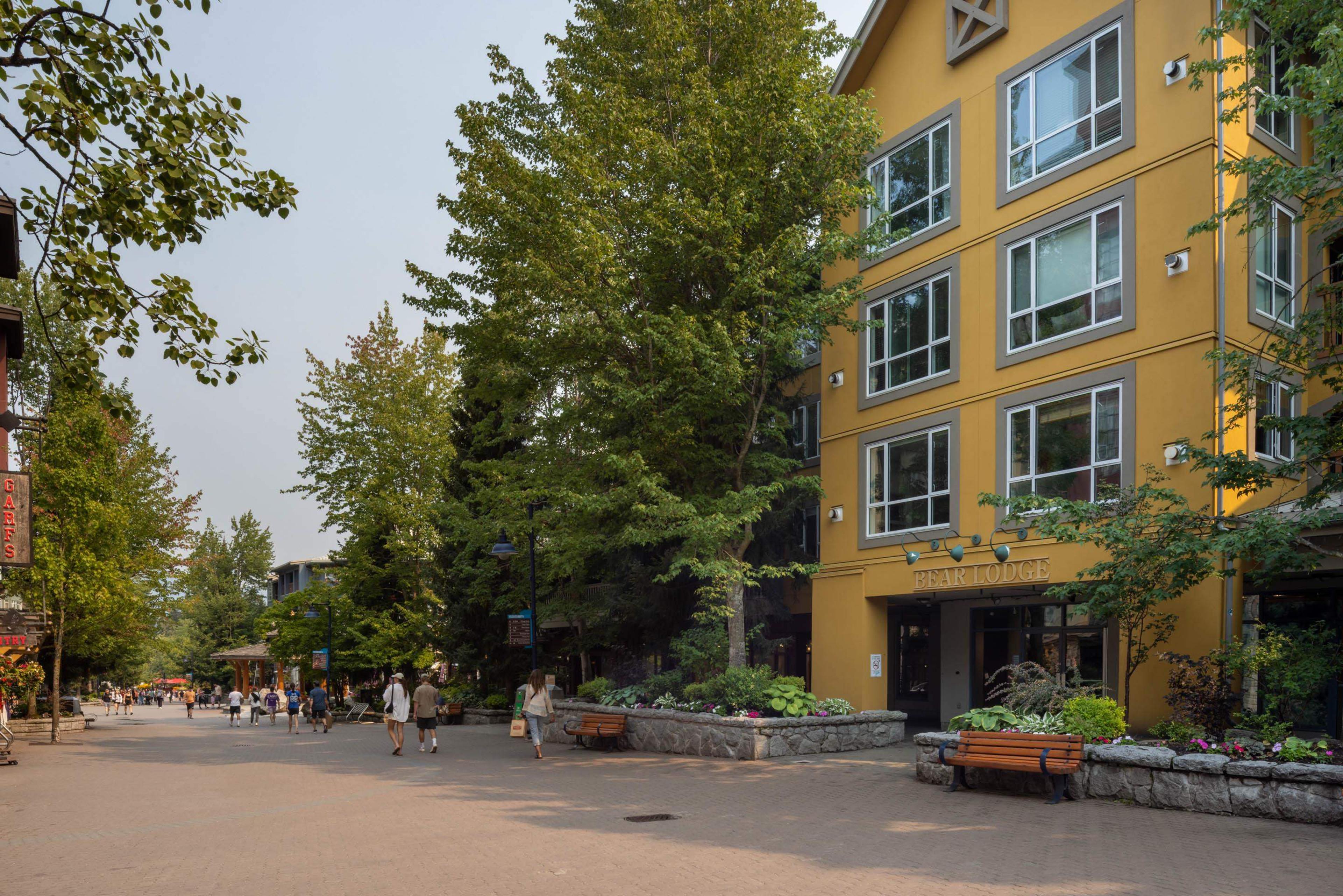 #203 4314 MAIN STREET - Main Image