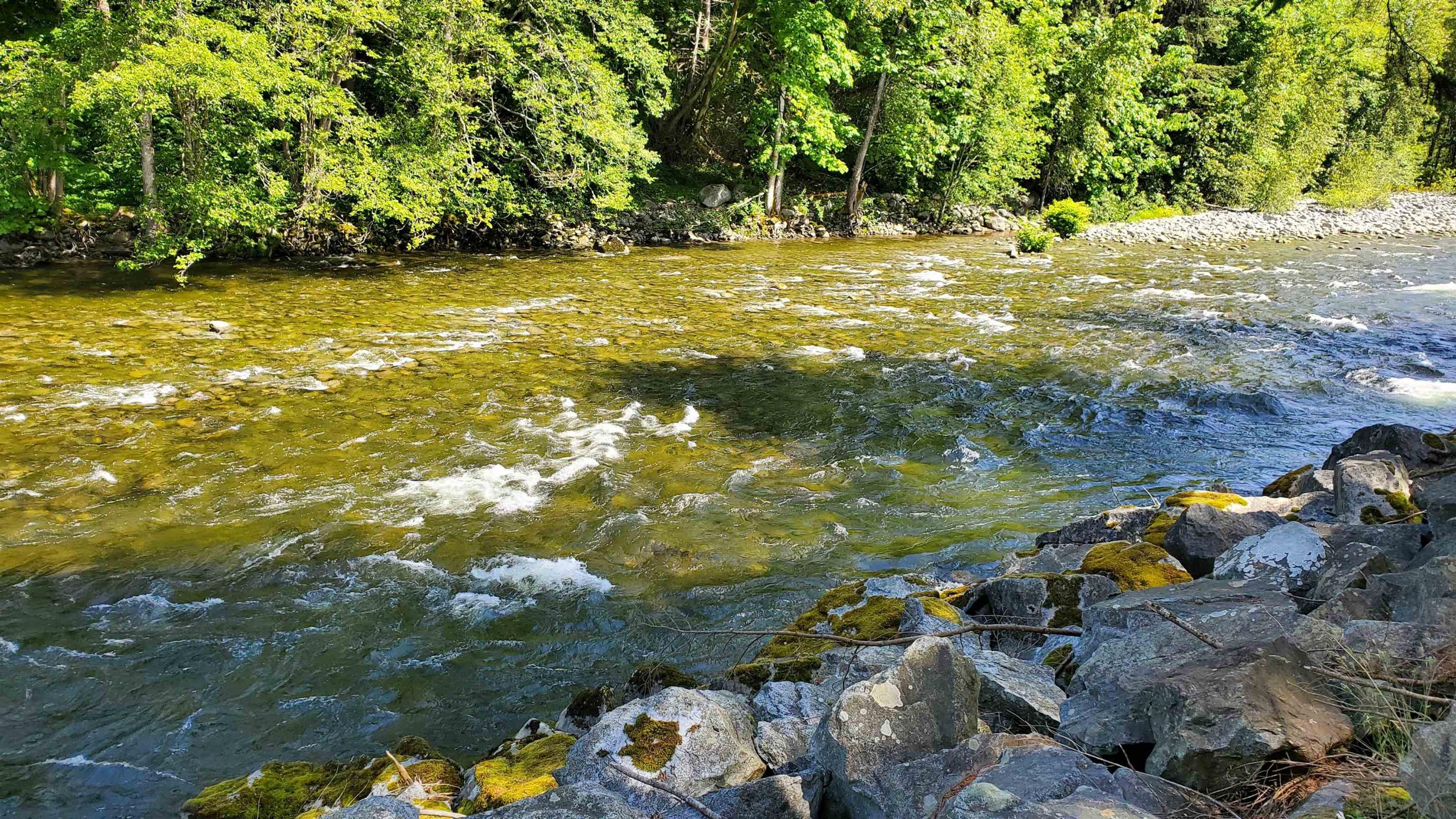 #1006 2016 FULLERTON AVENUE - Image 3