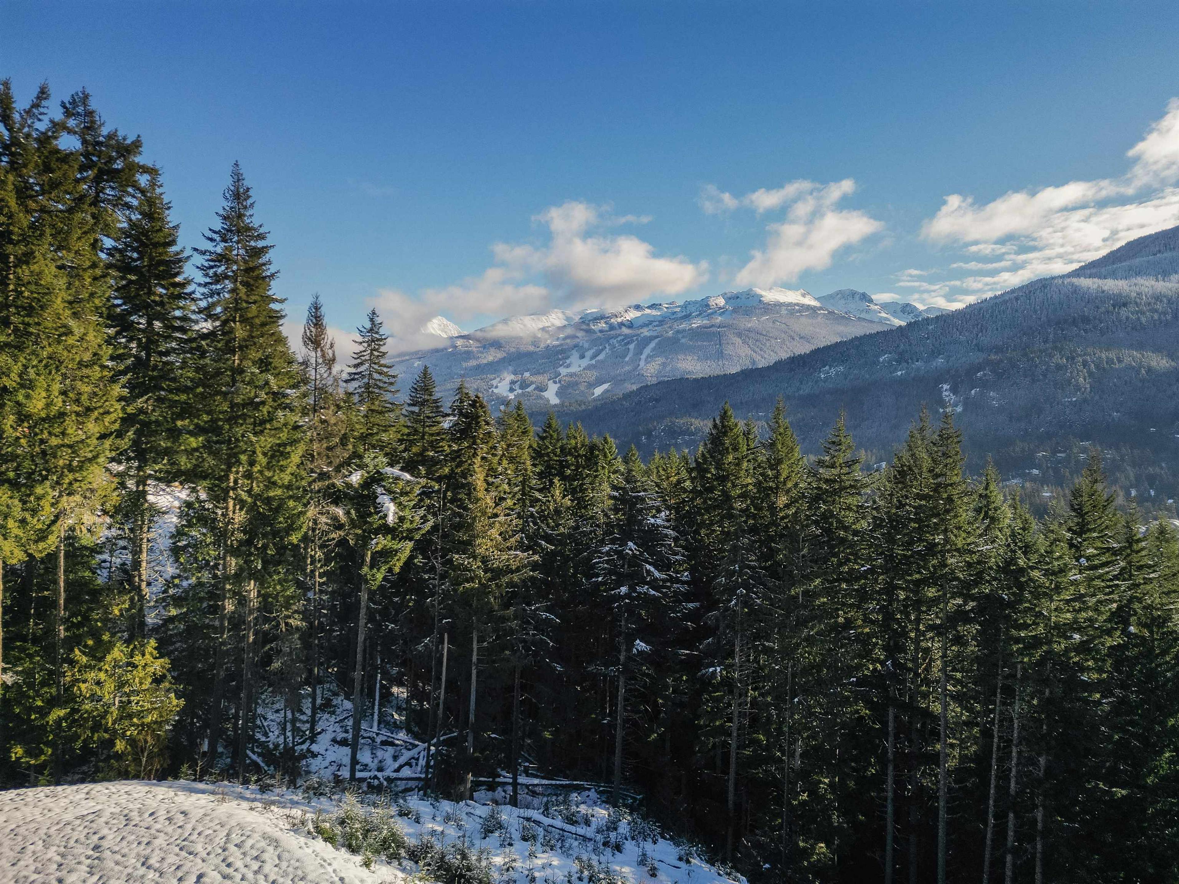 5408 STONEBRIDGE DRIVE - Image 2