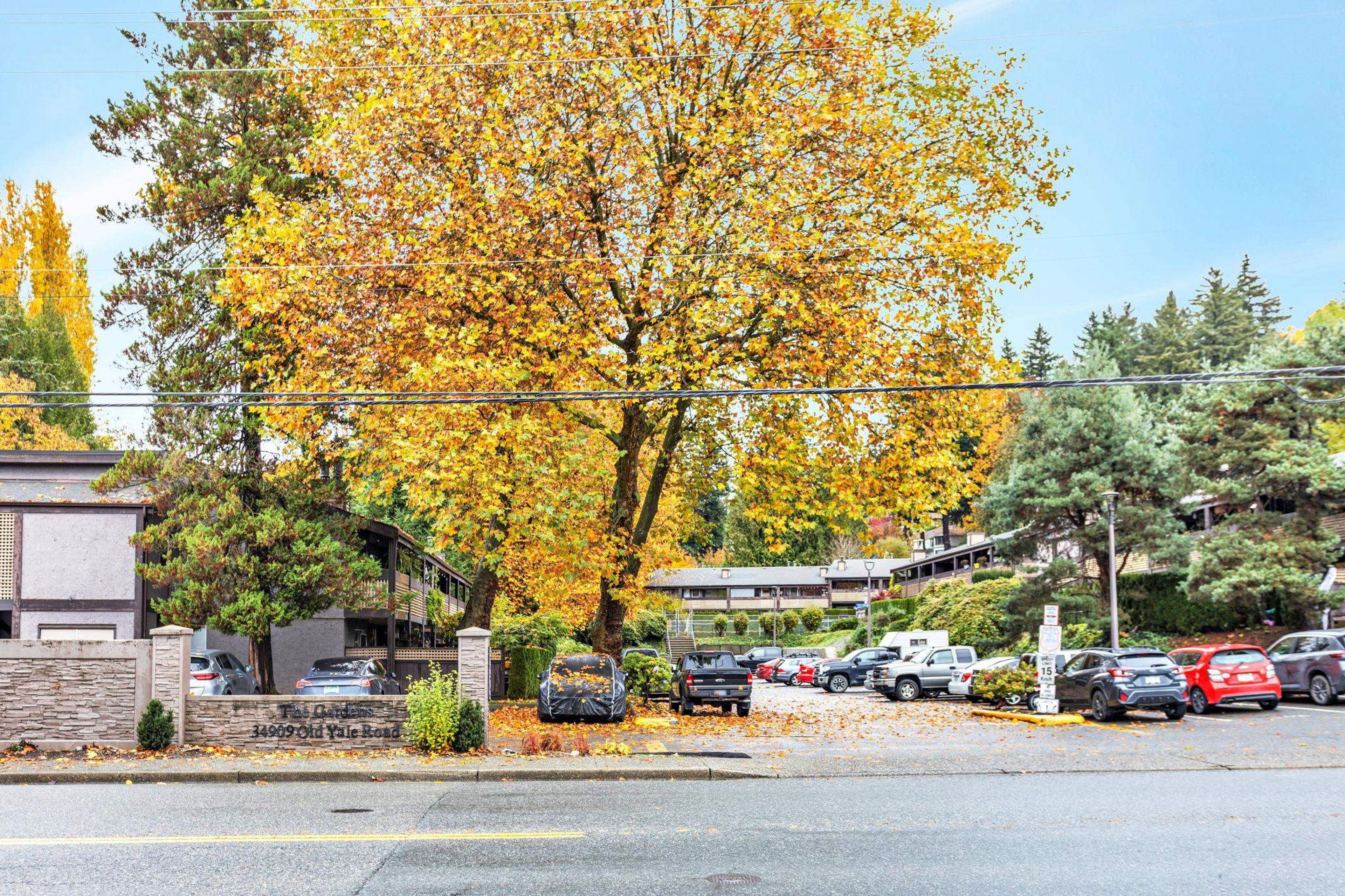 #822 34909 OLD YALE ROAD - Main Image