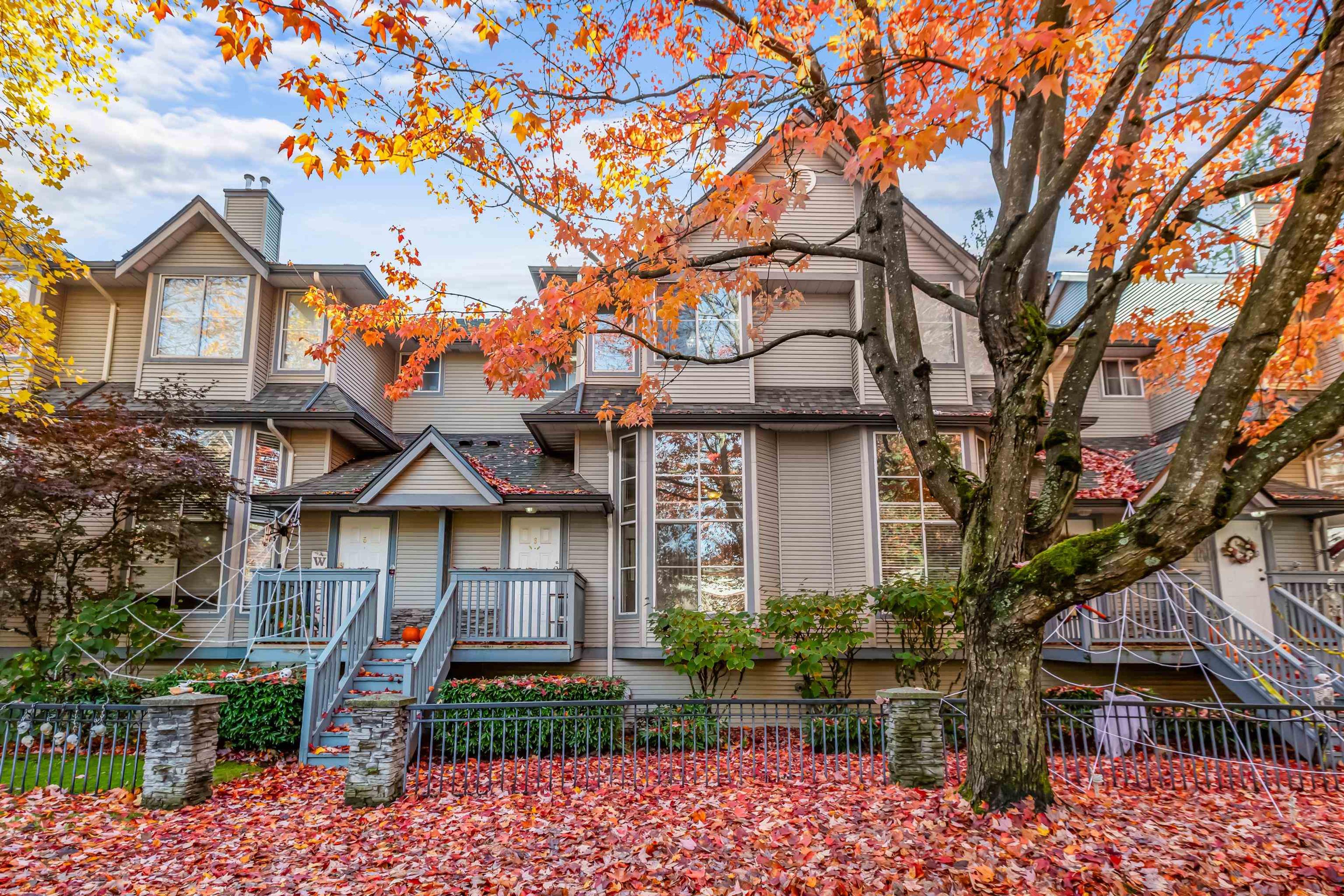 19034 Mcmyn Road, Pitt Meadows - Exteriors - Full Complex View - Photo 3