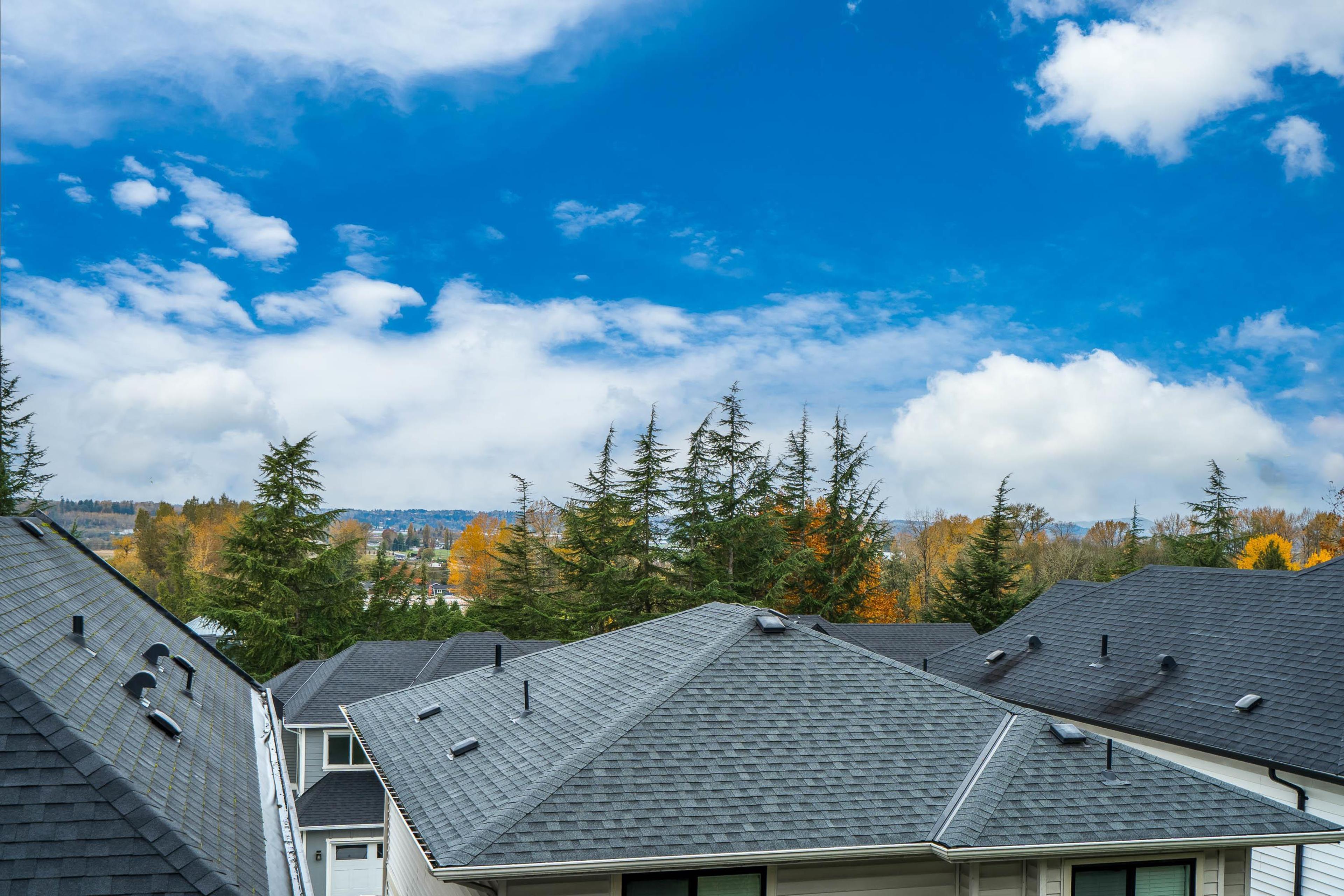 4295 Old Clayburn Road, Abbotsford - Exteriors - Full Complex View - Photo 3