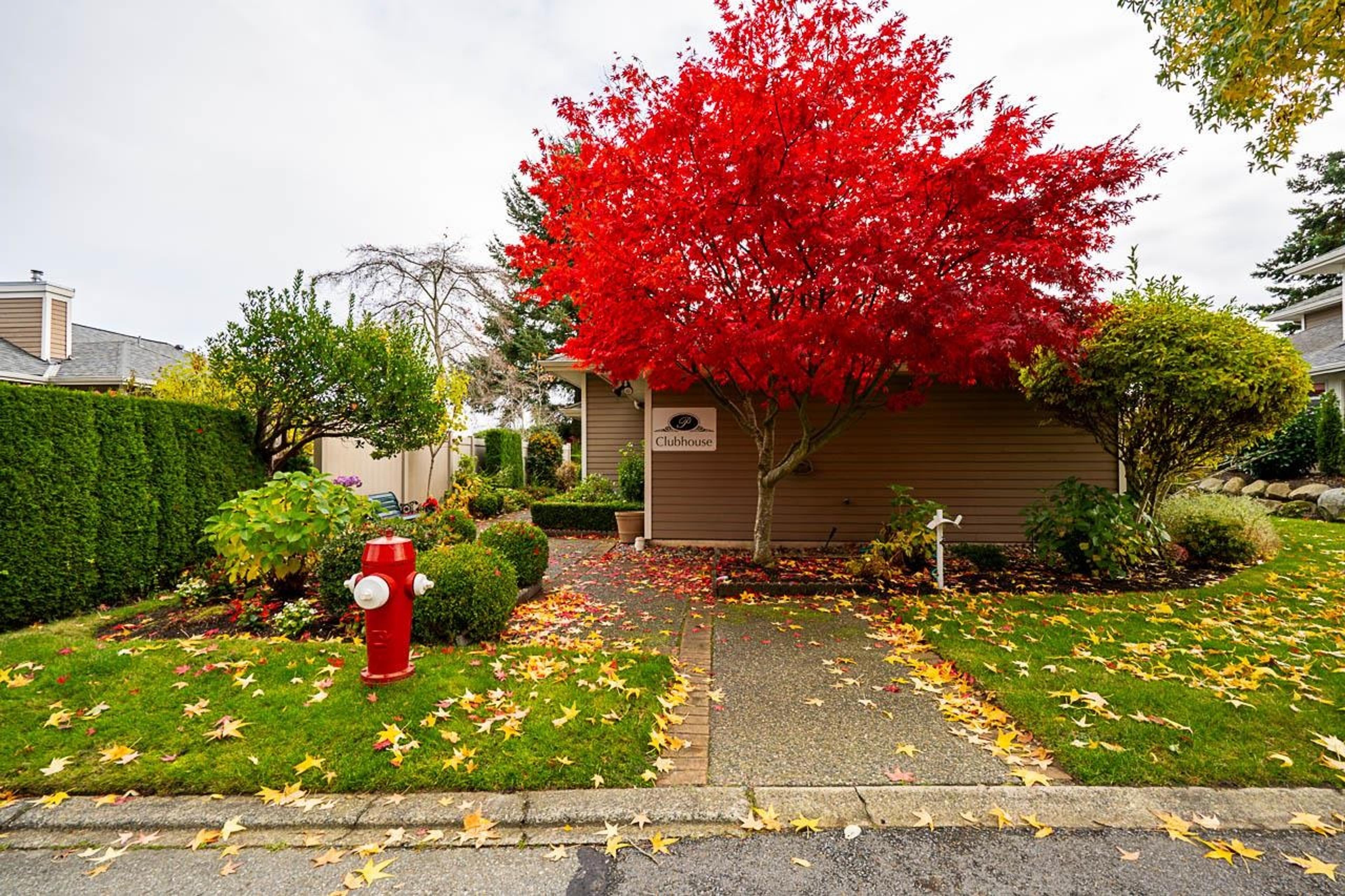 2500 152 Street, Surrey - Exteriors - Photo 2