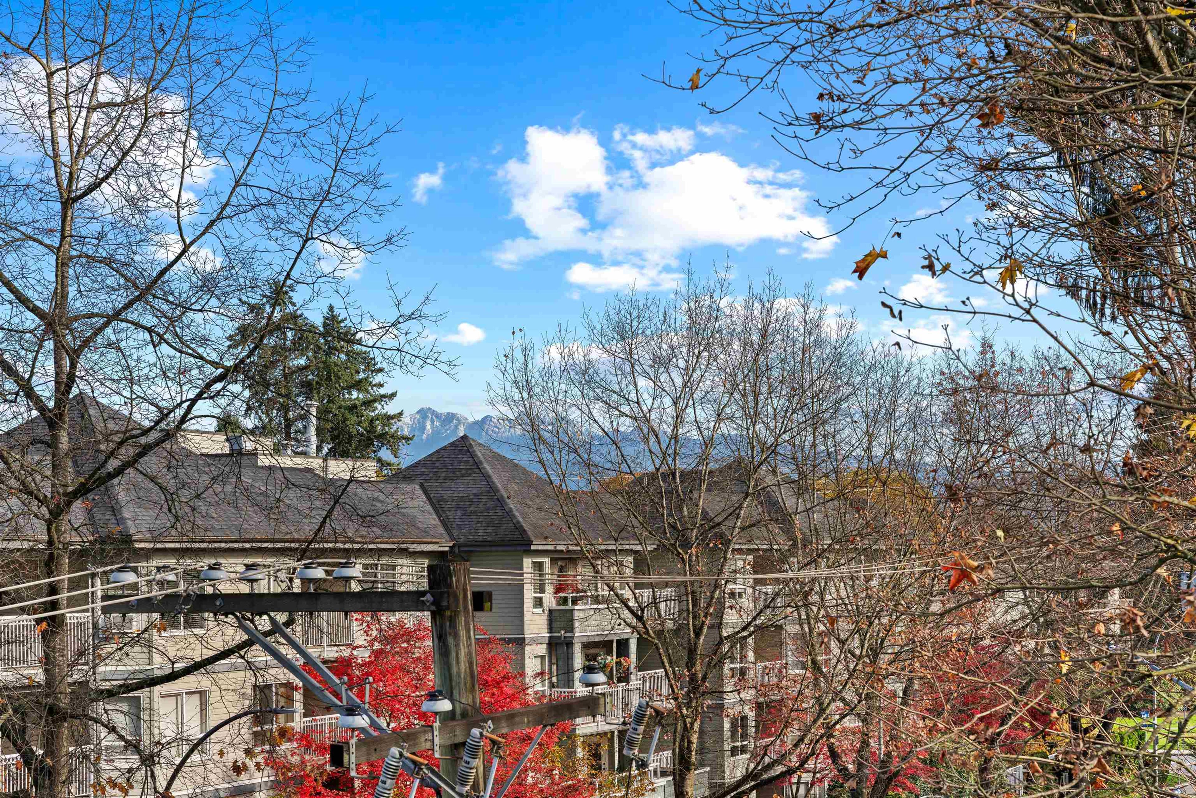 2484 Wilson Avenue, Port Coquitlam - Exteriors - Photo 1