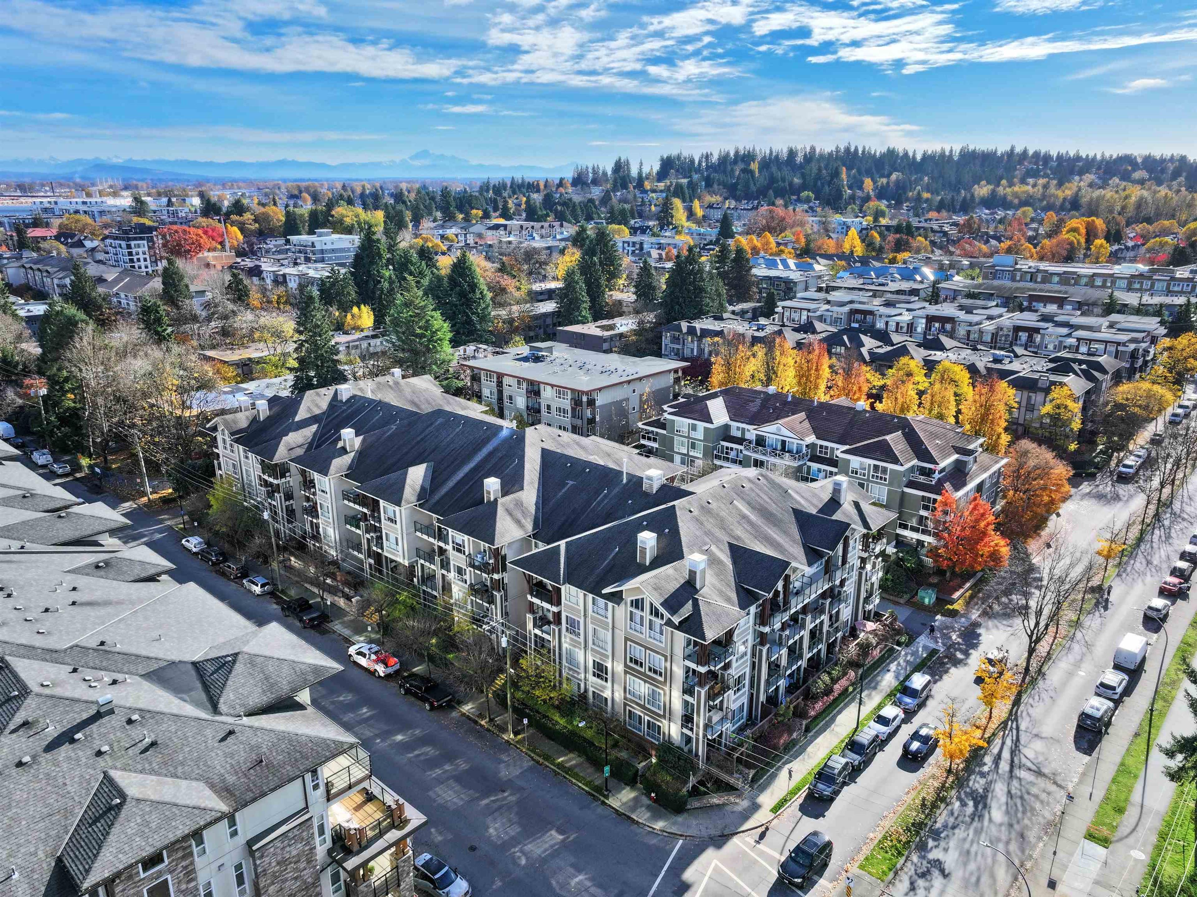 2484 Wilson Avenue, Port Coquitlam - Exteriors - Full Complex View, Drone/Aerial View - Photo 4