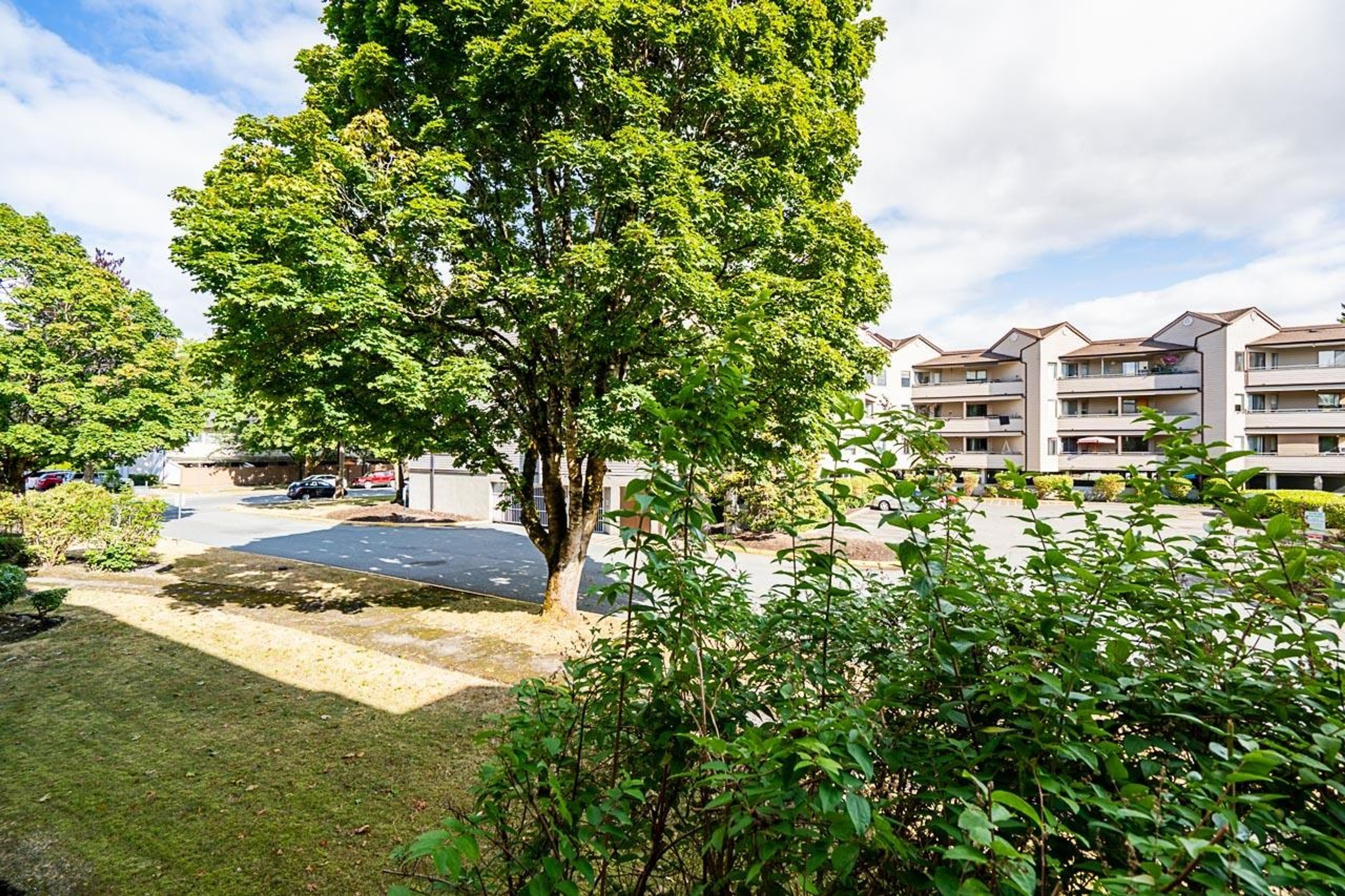 5224 204 Street, Langley - Exteriors - Full Complex View - Photo 3