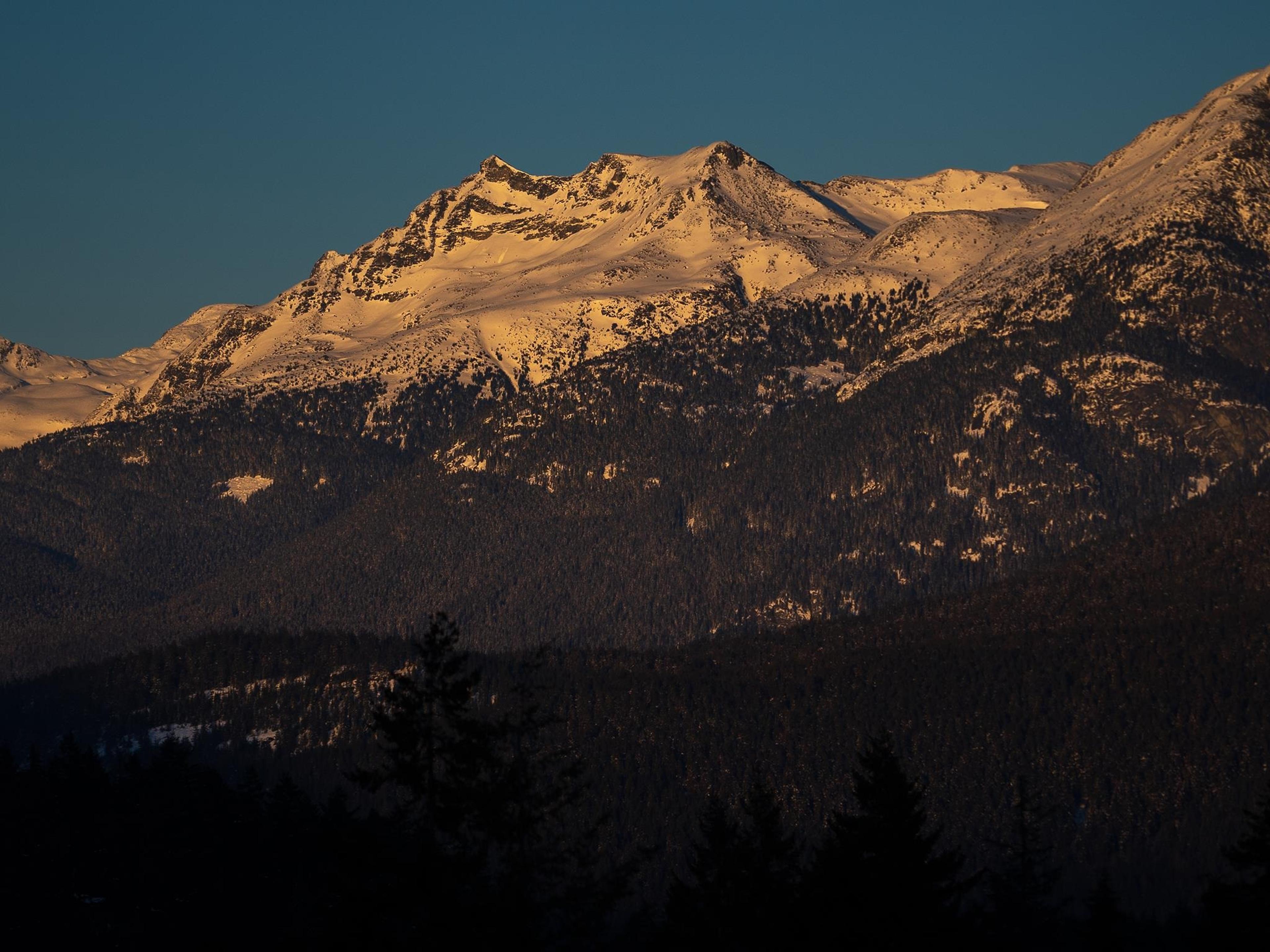 1625 SOUTHLANDS LANE - 6