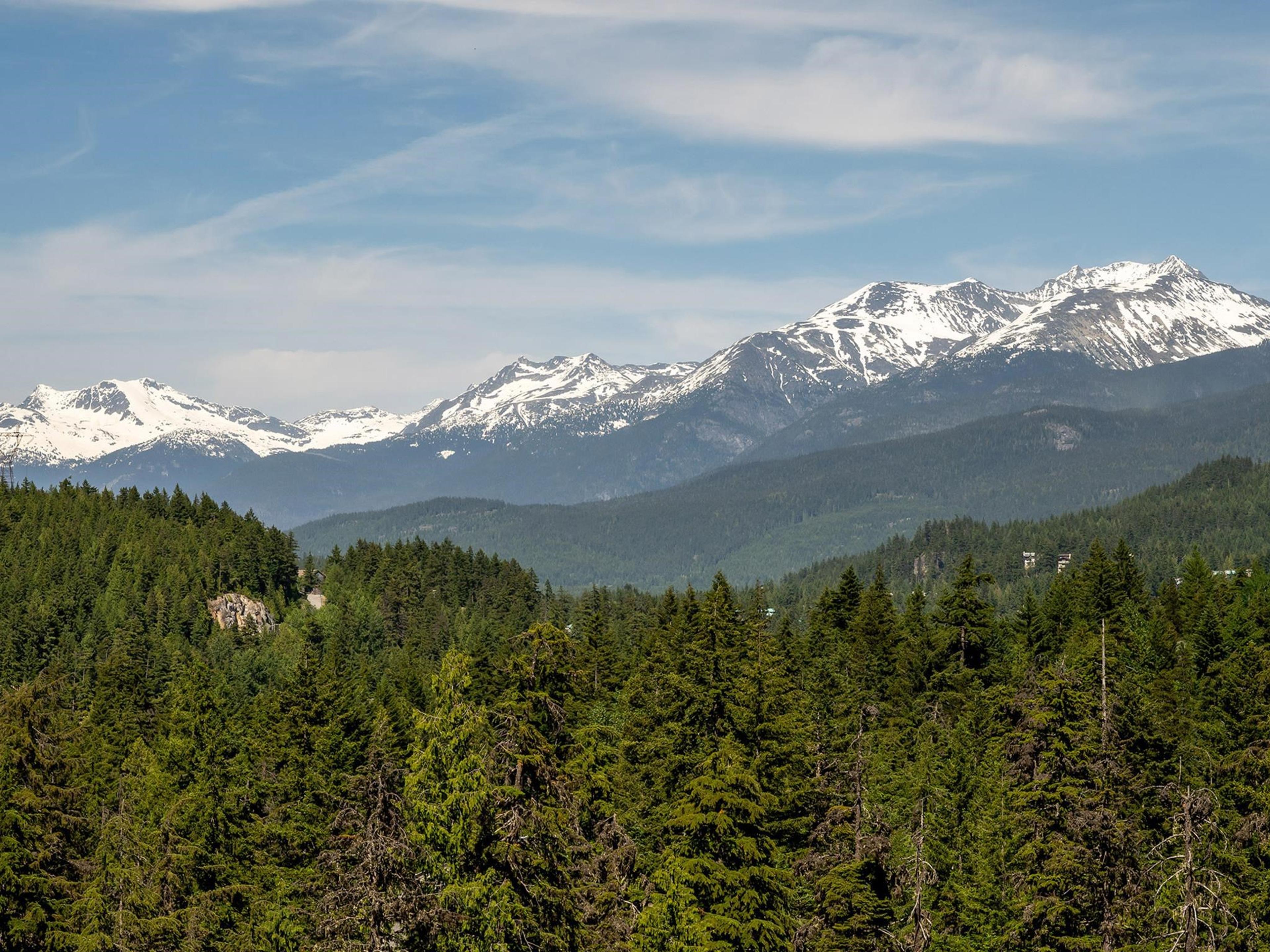 1625 SOUTHLANDS LANE - 12