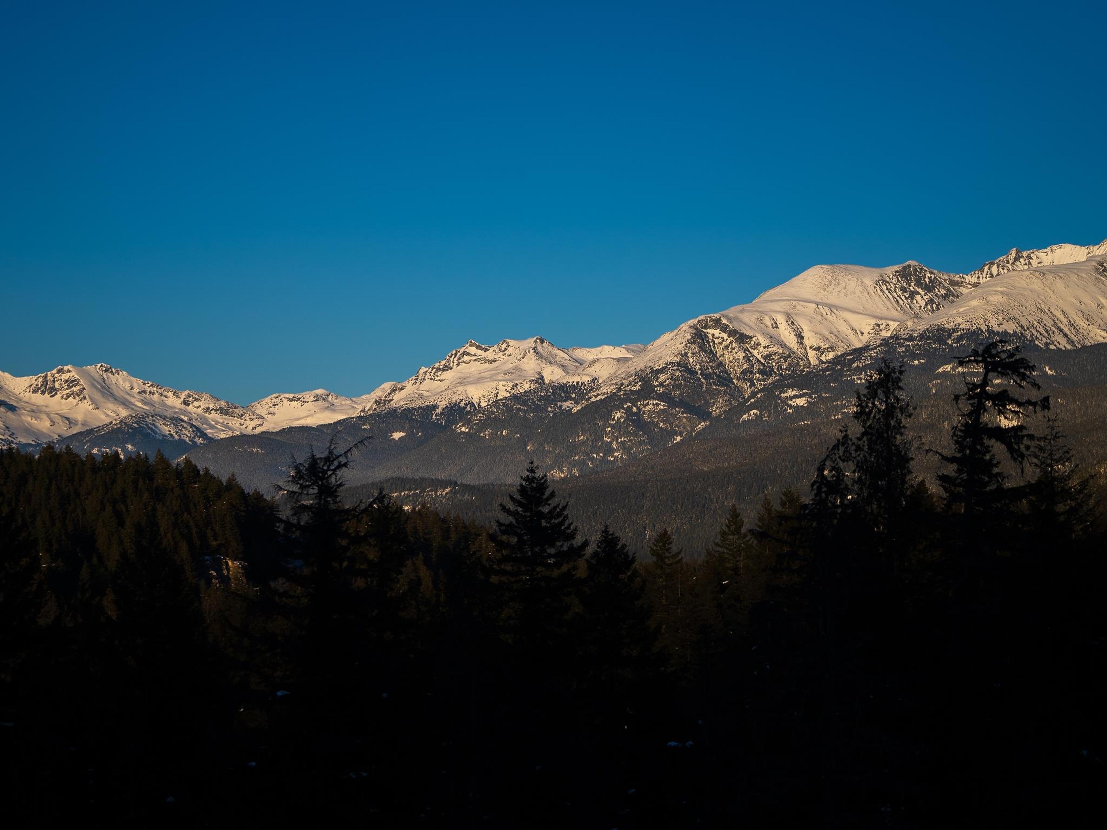 1625 SOUTHLANDS LANE - 9