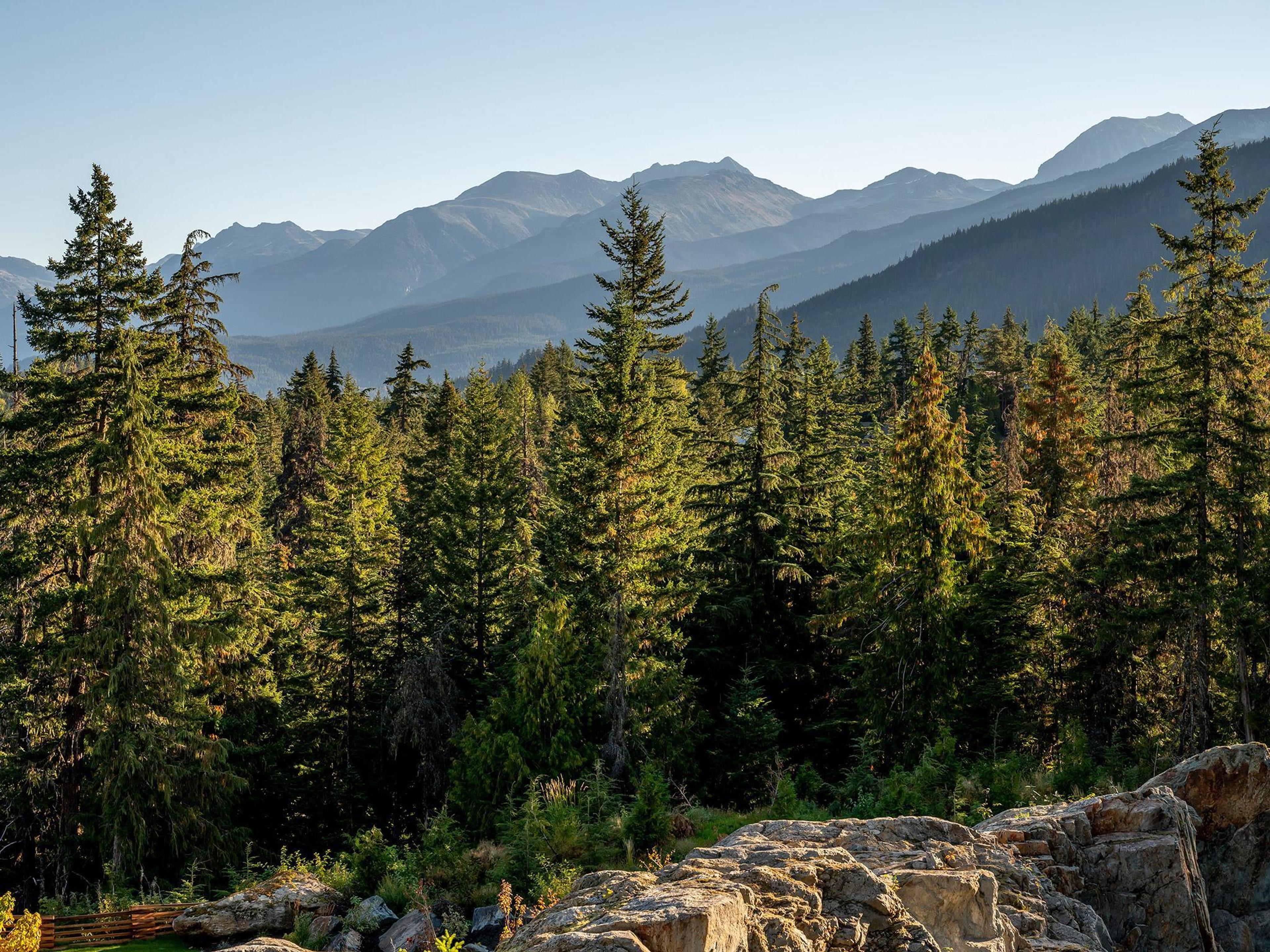 1625 SOUTHLANDS LANE - 4