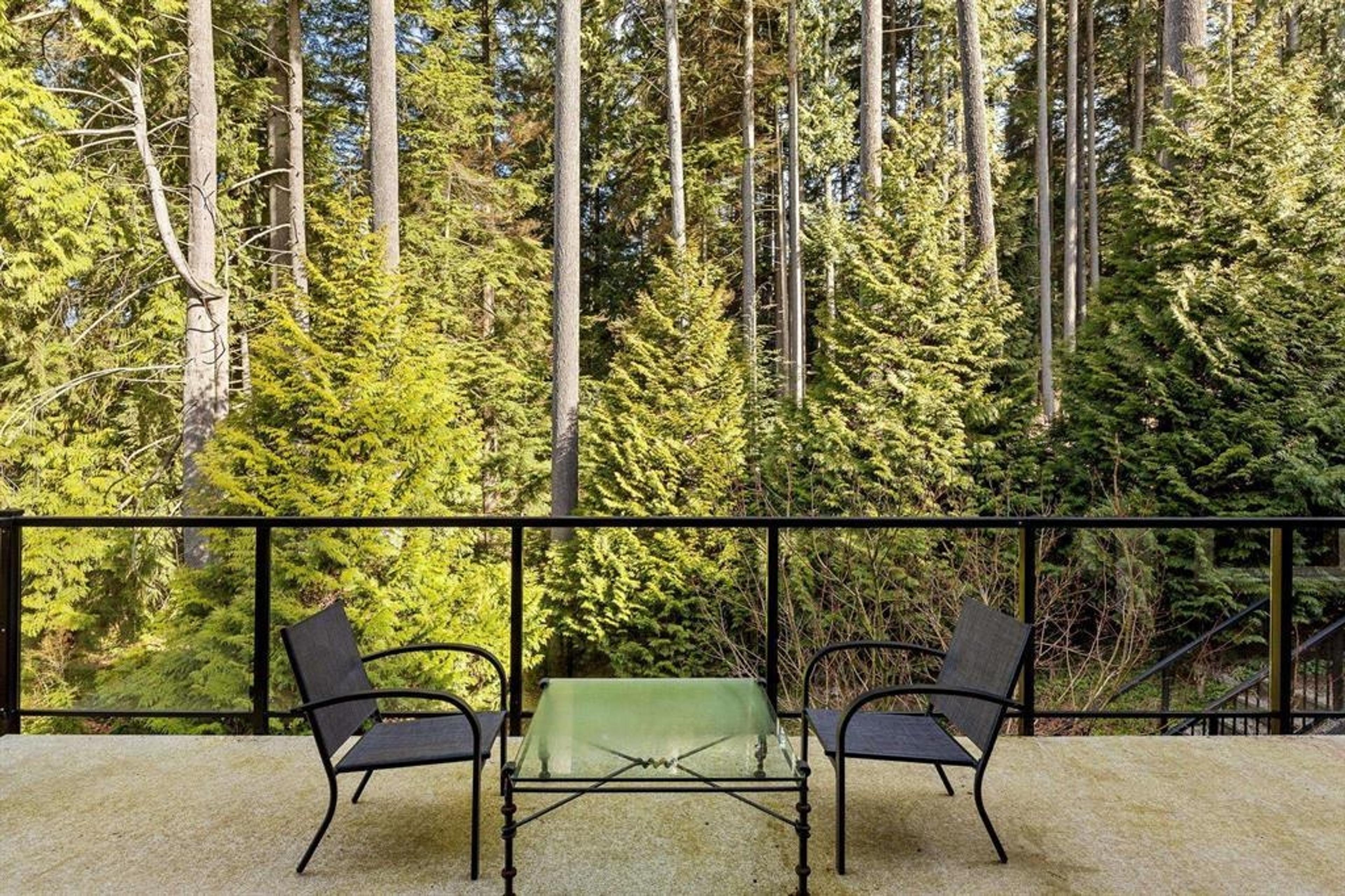 128 DEERVIEW LANE - 32