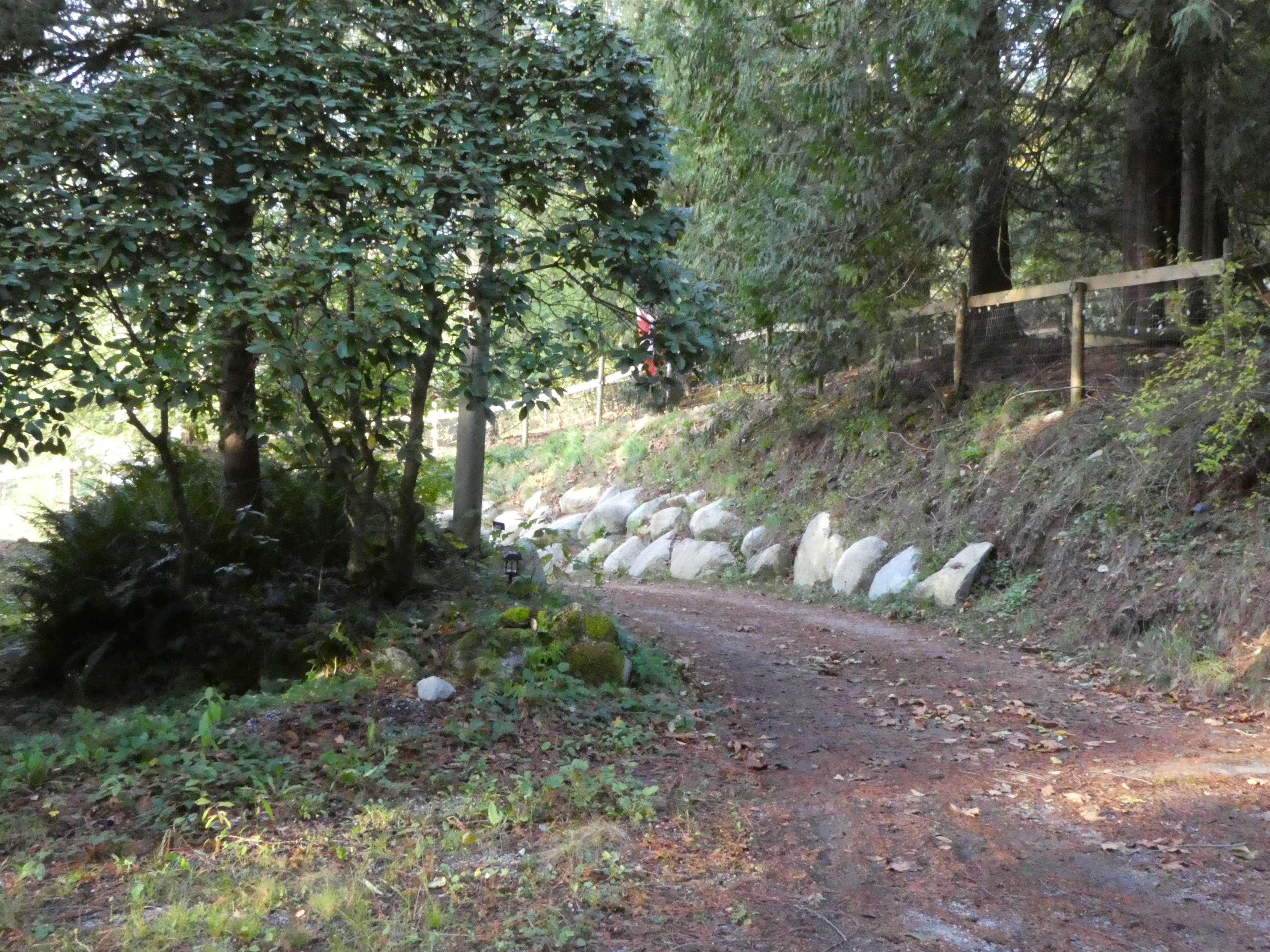 14042 232 STREET - Image 2