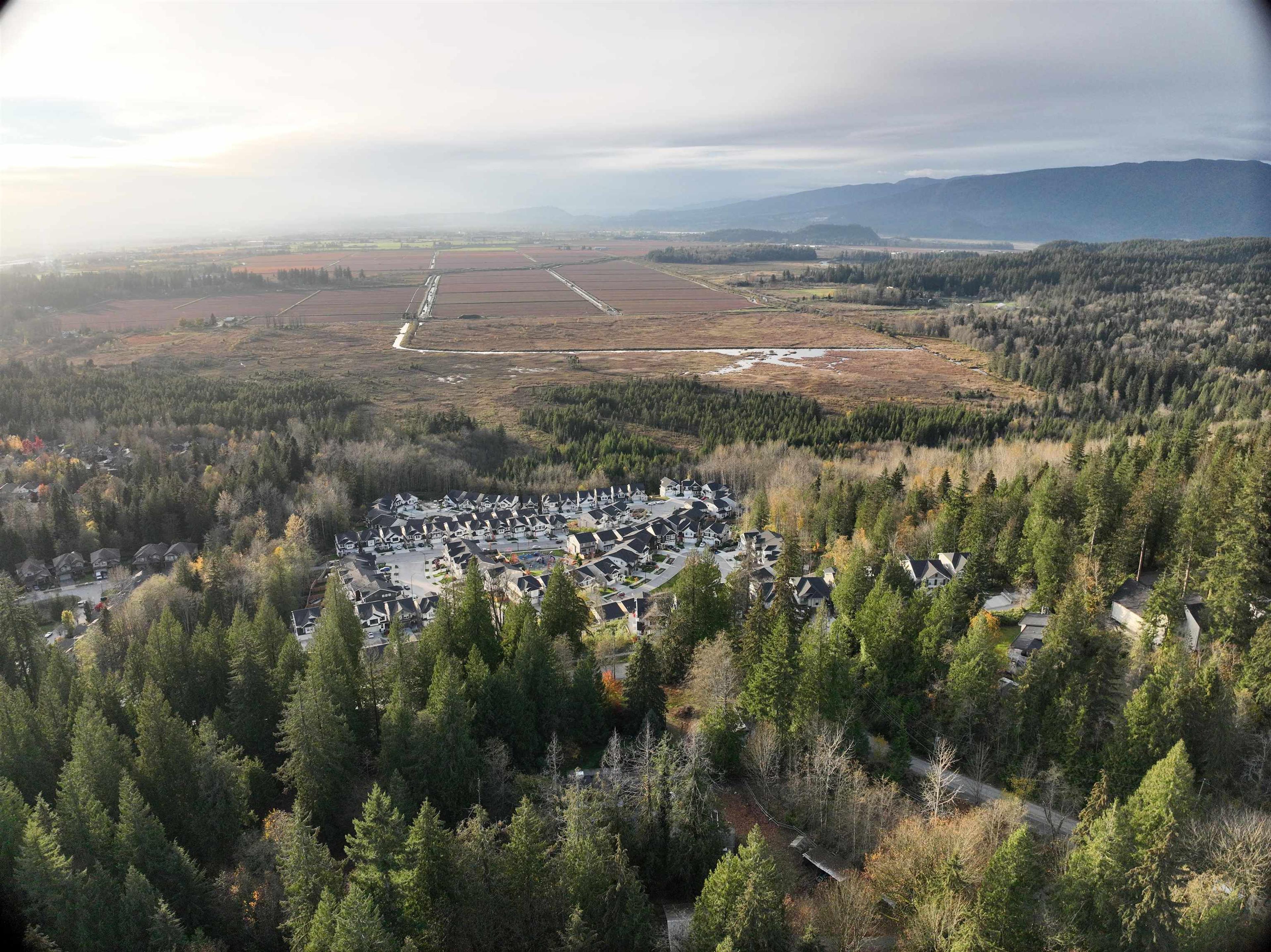 14042 232 STREET - 5