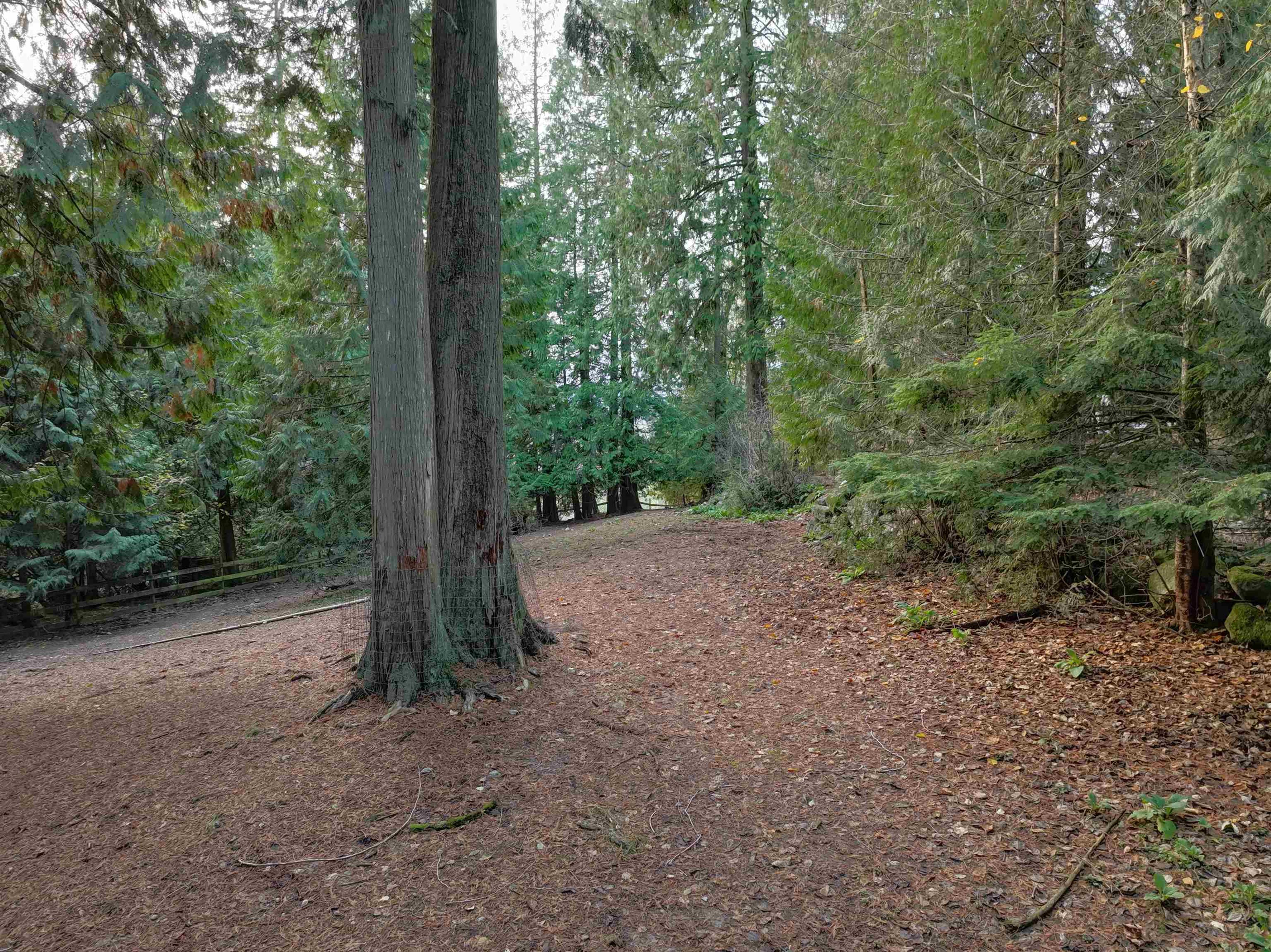 14042 232 STREET - 10