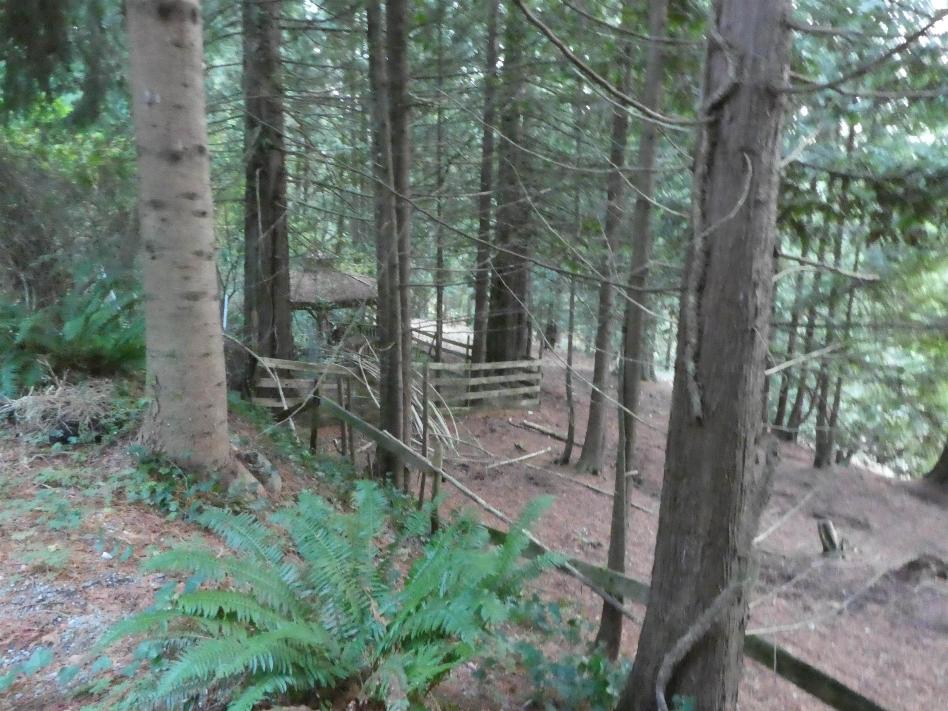 14042 232 STREET - 15