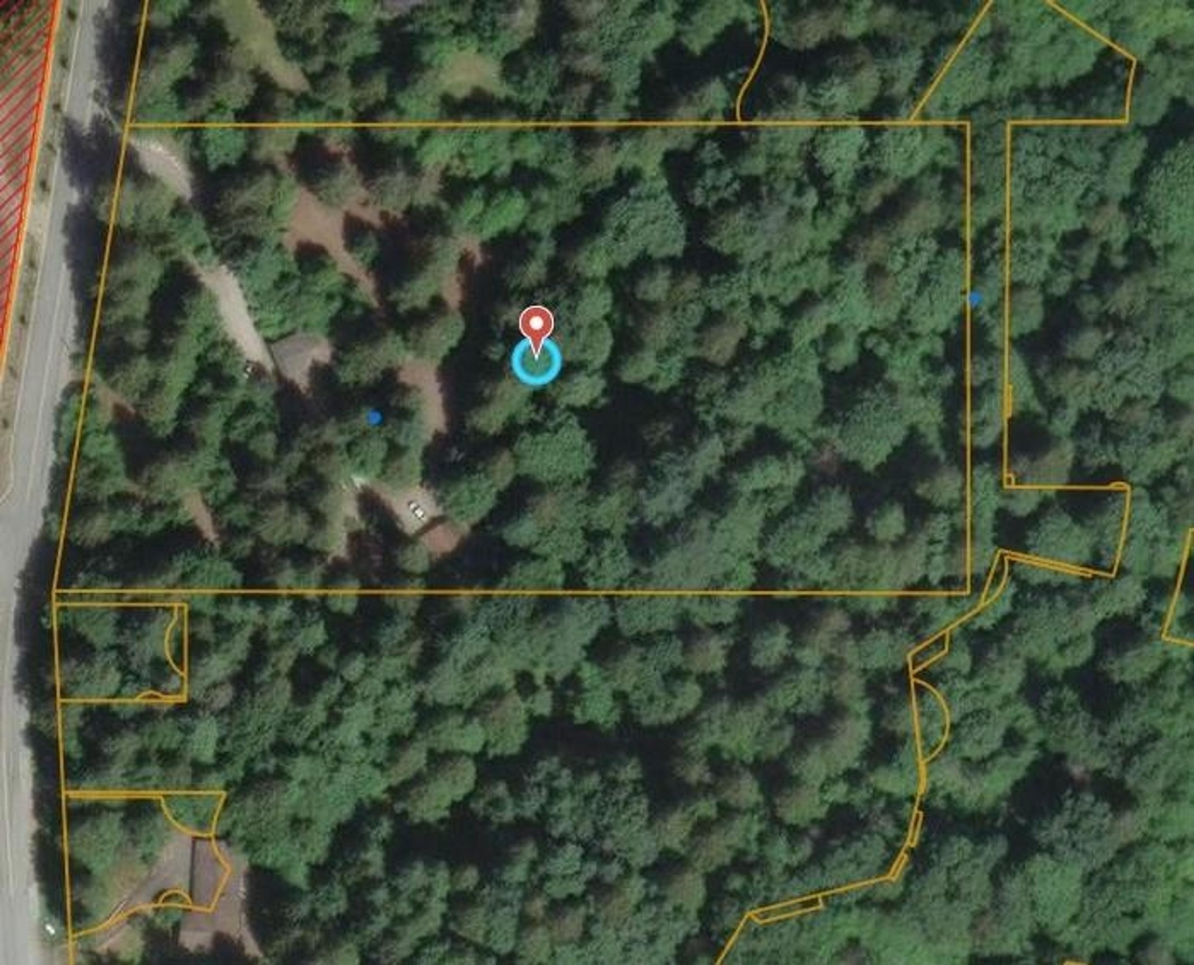 14042 232 STREET - 19