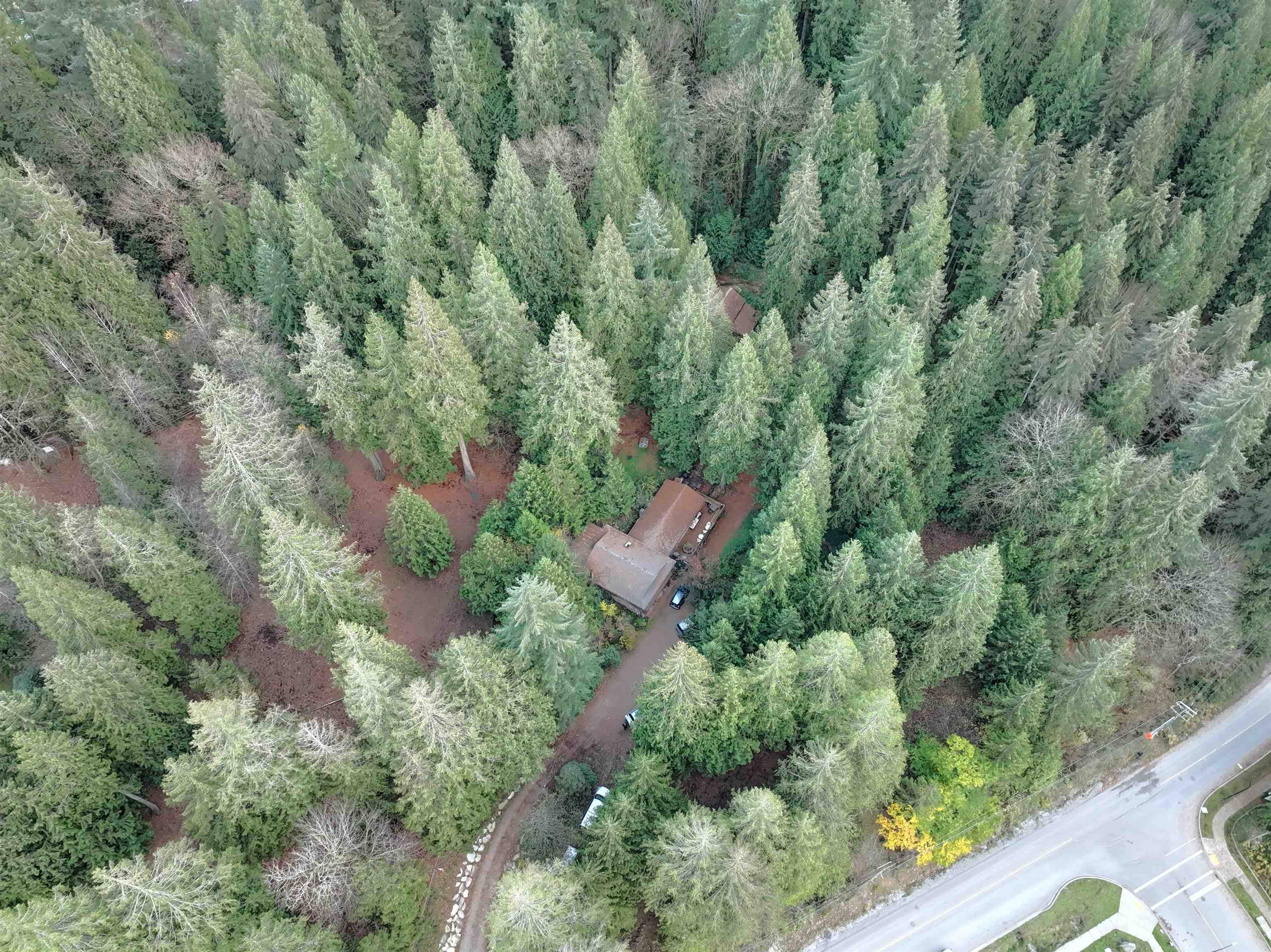 14042 232 STREET - 8