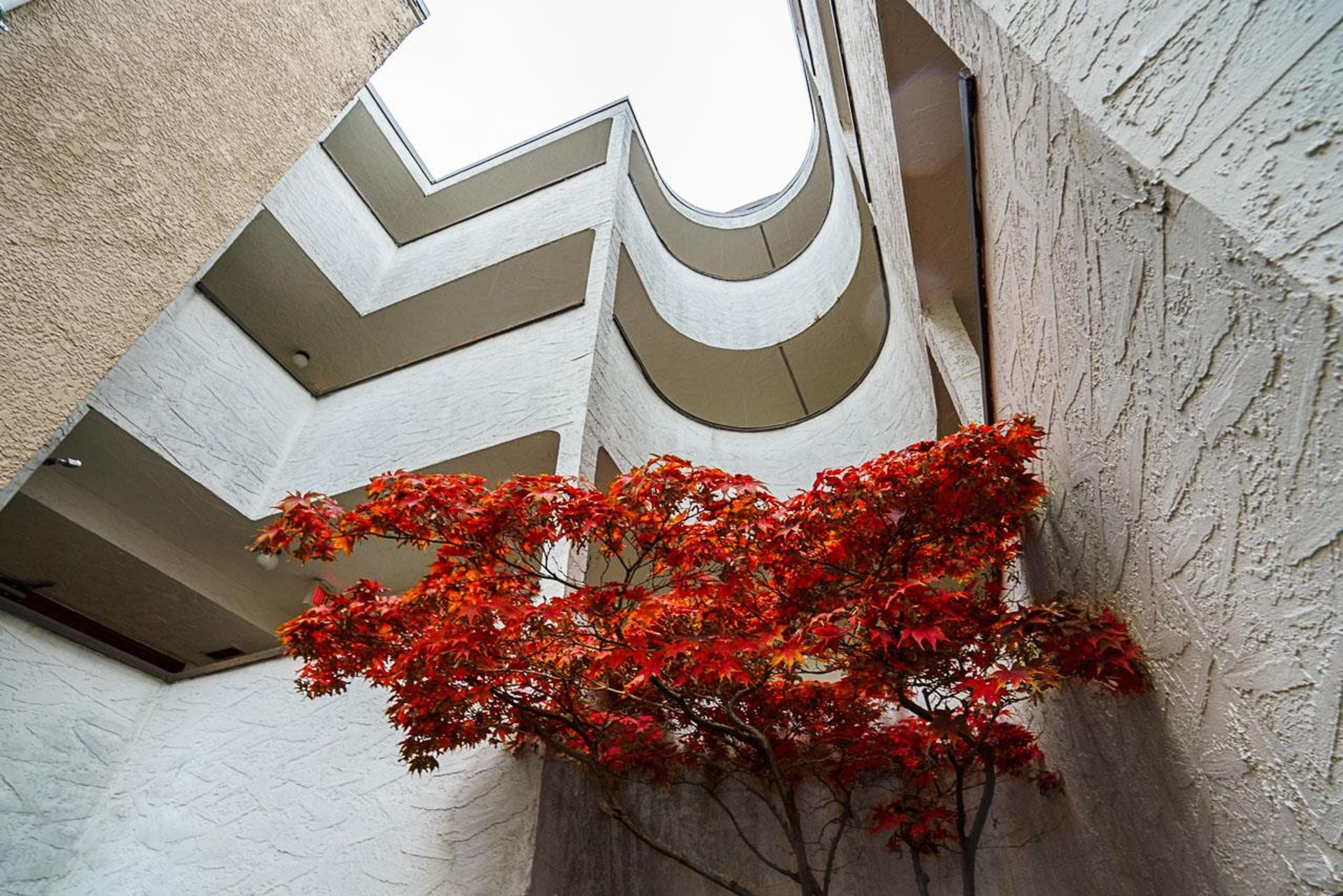 936 Bute Street, Vancouver - Exteriors - Photo 3