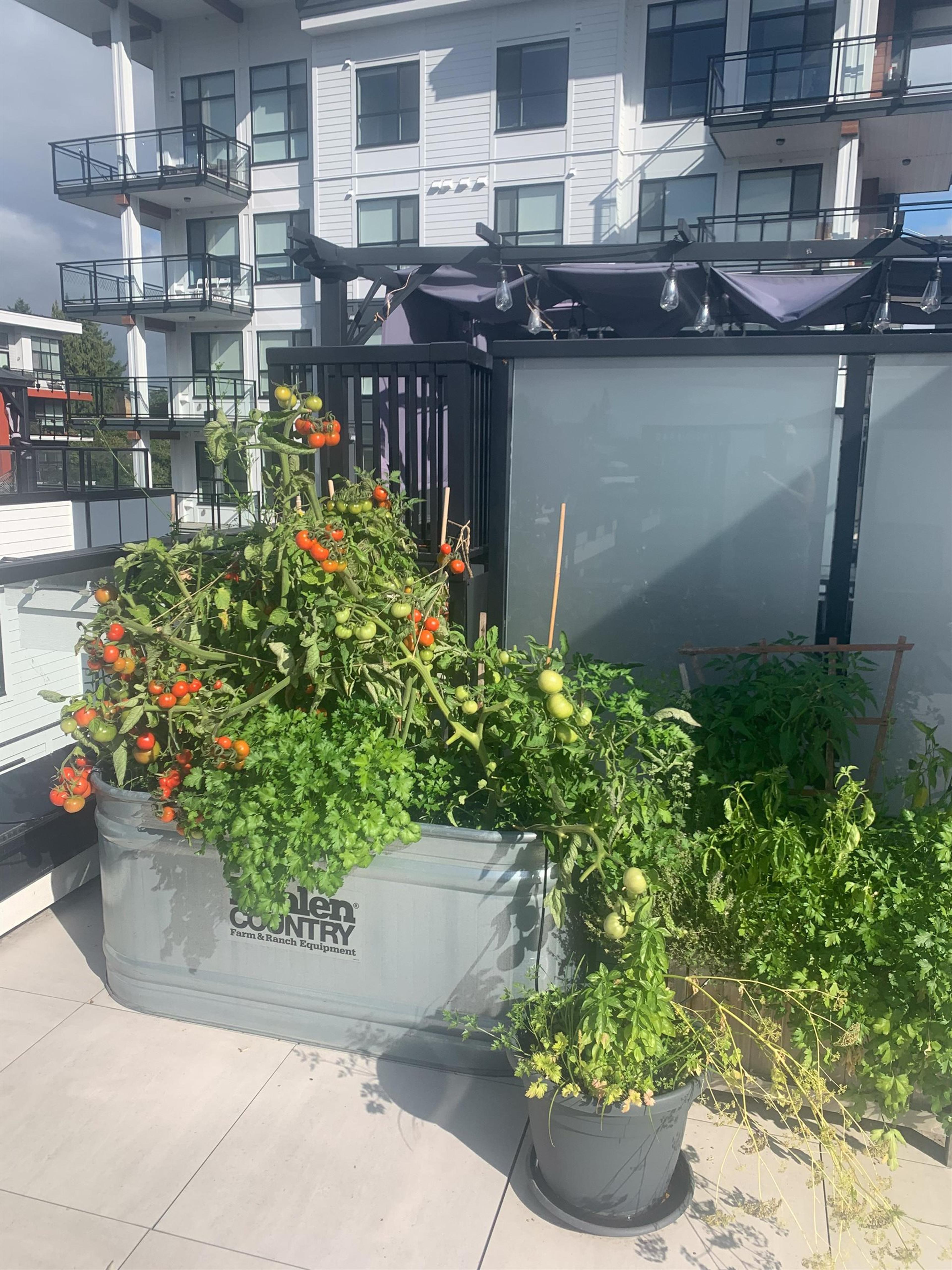 #16 5476 BRYDON CRESCENT - 31