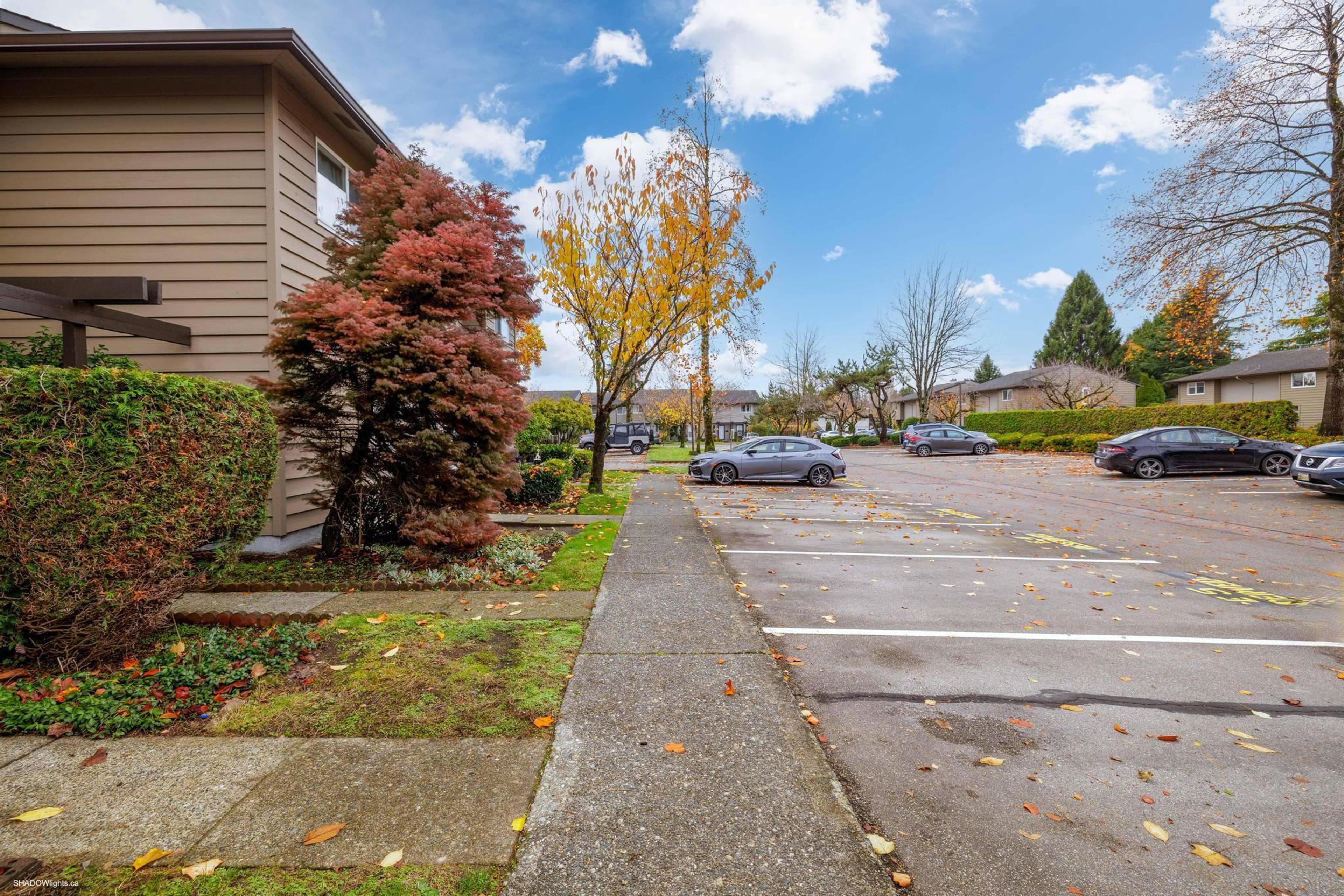 11160 Kingsgrove Avenue, Richmond - Exteriors - Full Complex View - Photo 4