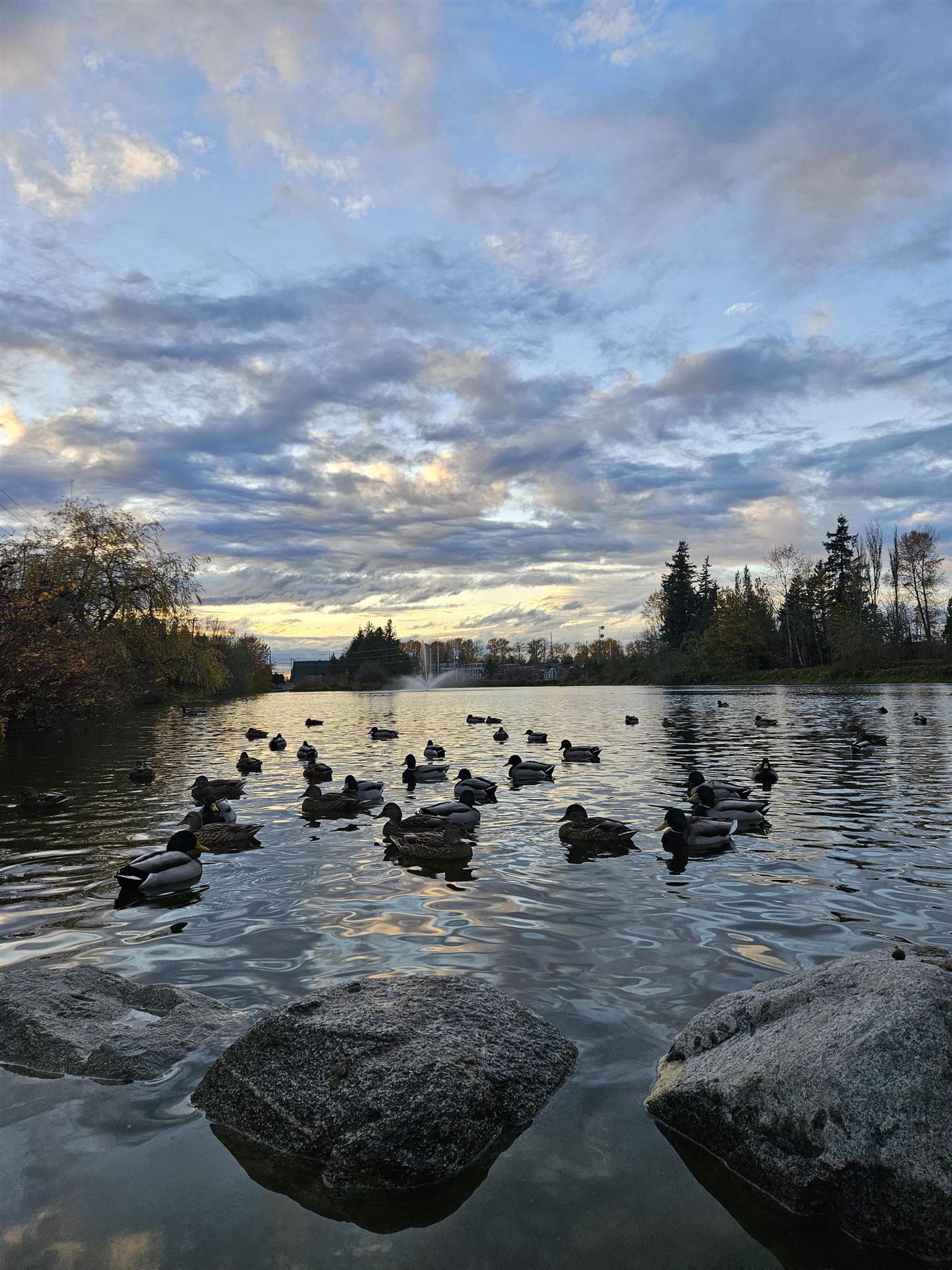 5345 199 STREET - 31