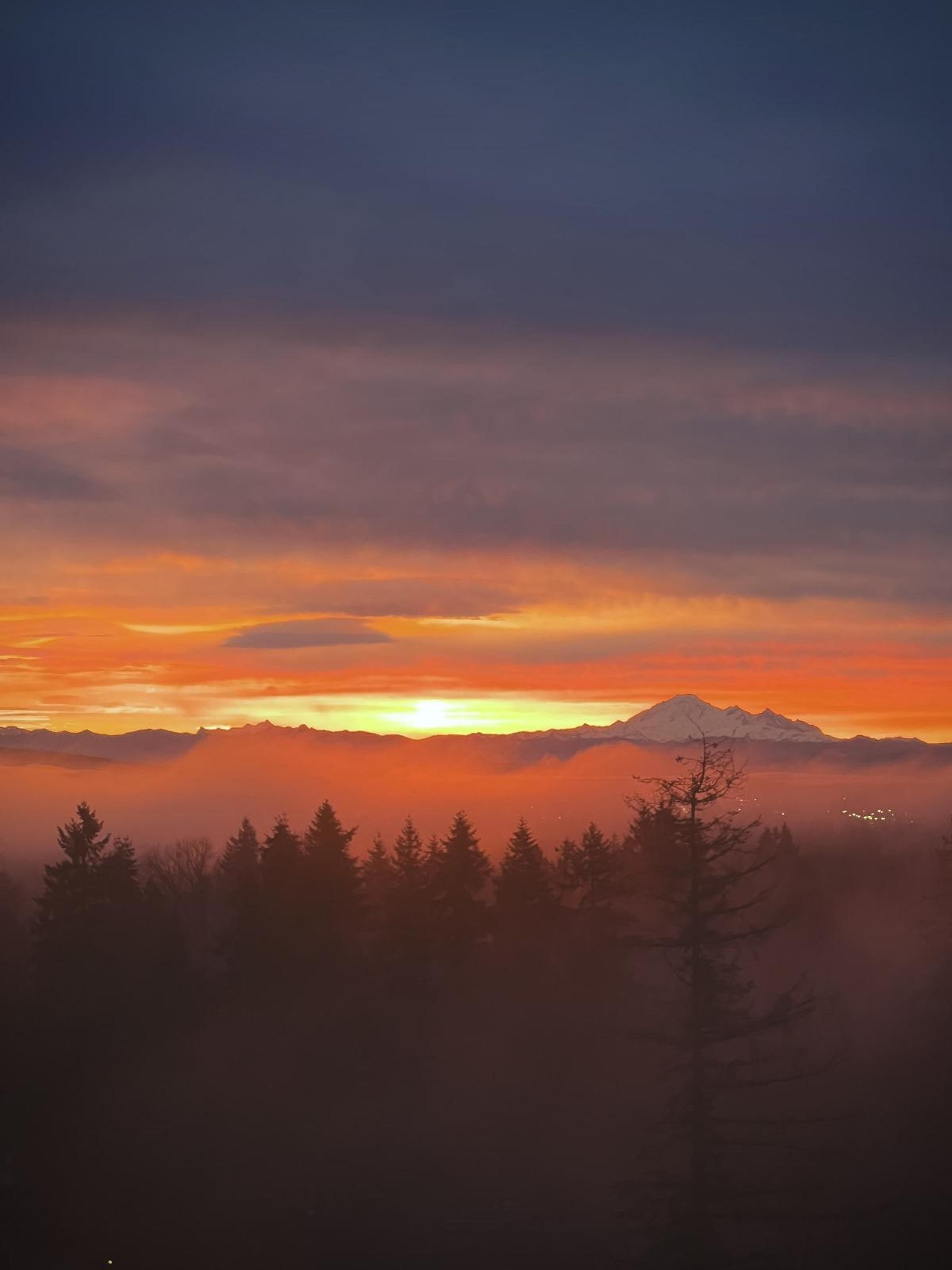 #1905 3080 LINCOLN AVENUE - 23