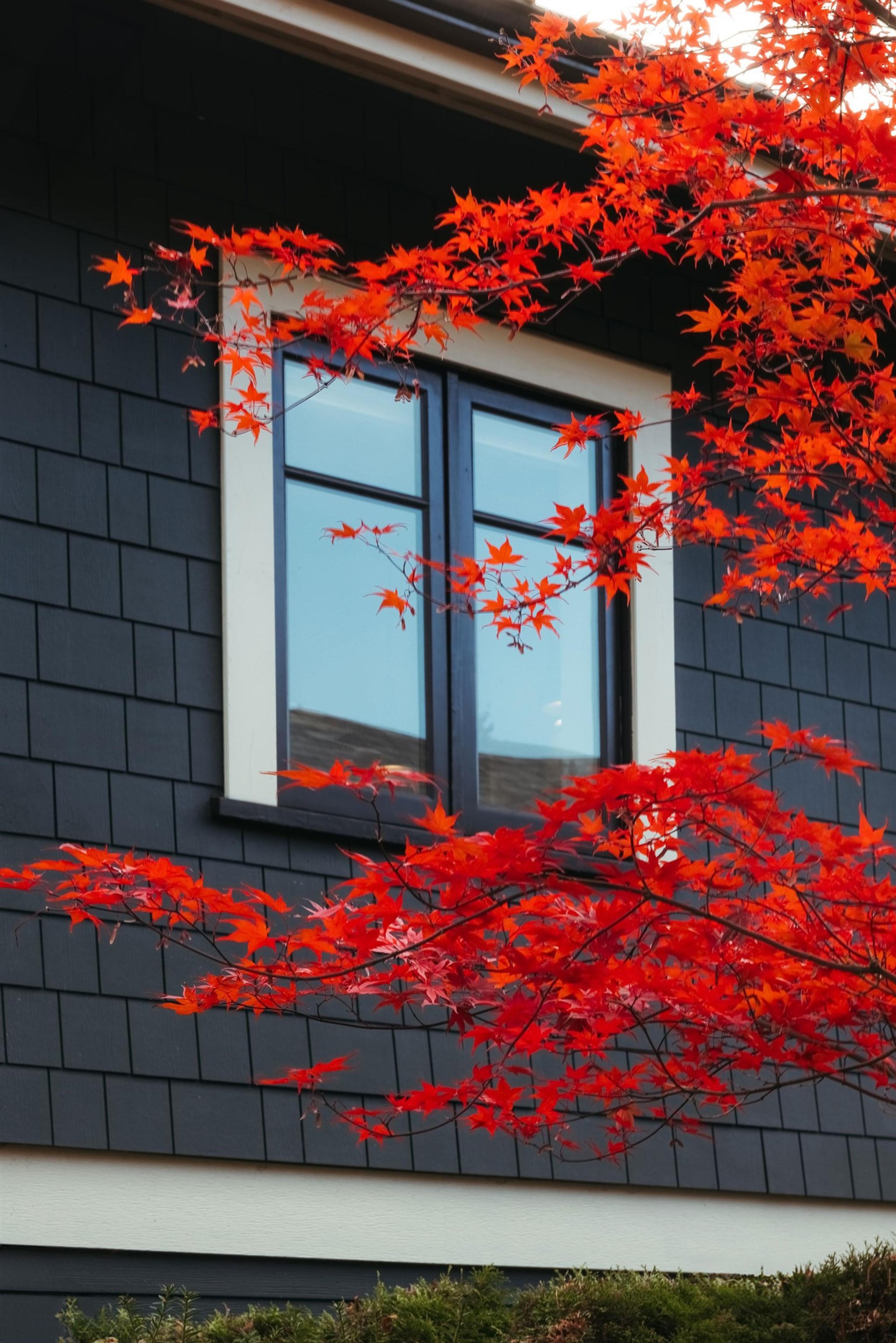 3181 Alberta Street, Vancouver - Exteriors - Photo 3