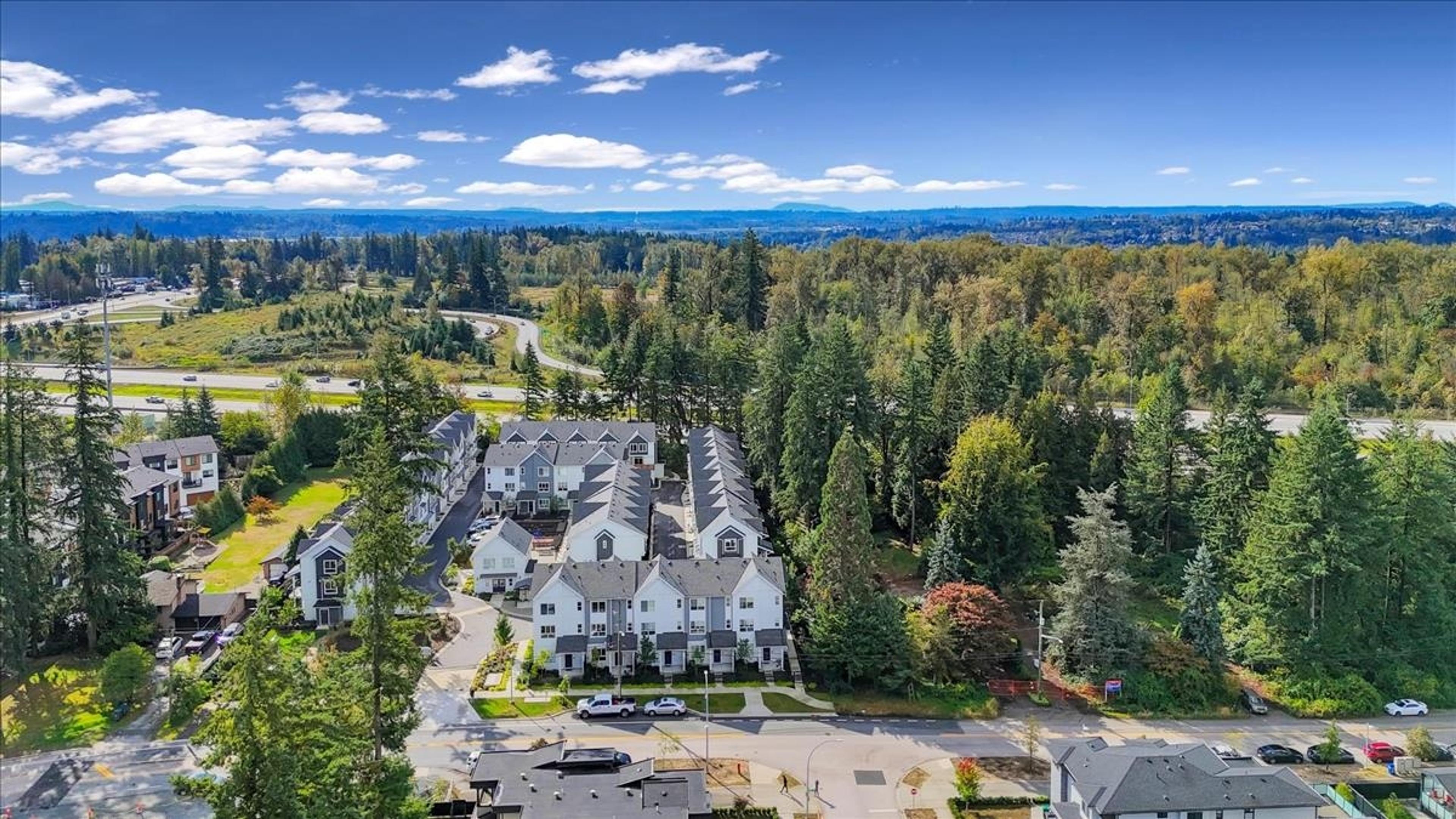 17458 100 Avenue, Surrey - Exteriors - Full Complex View, Drone/Aerial View - Photo 3