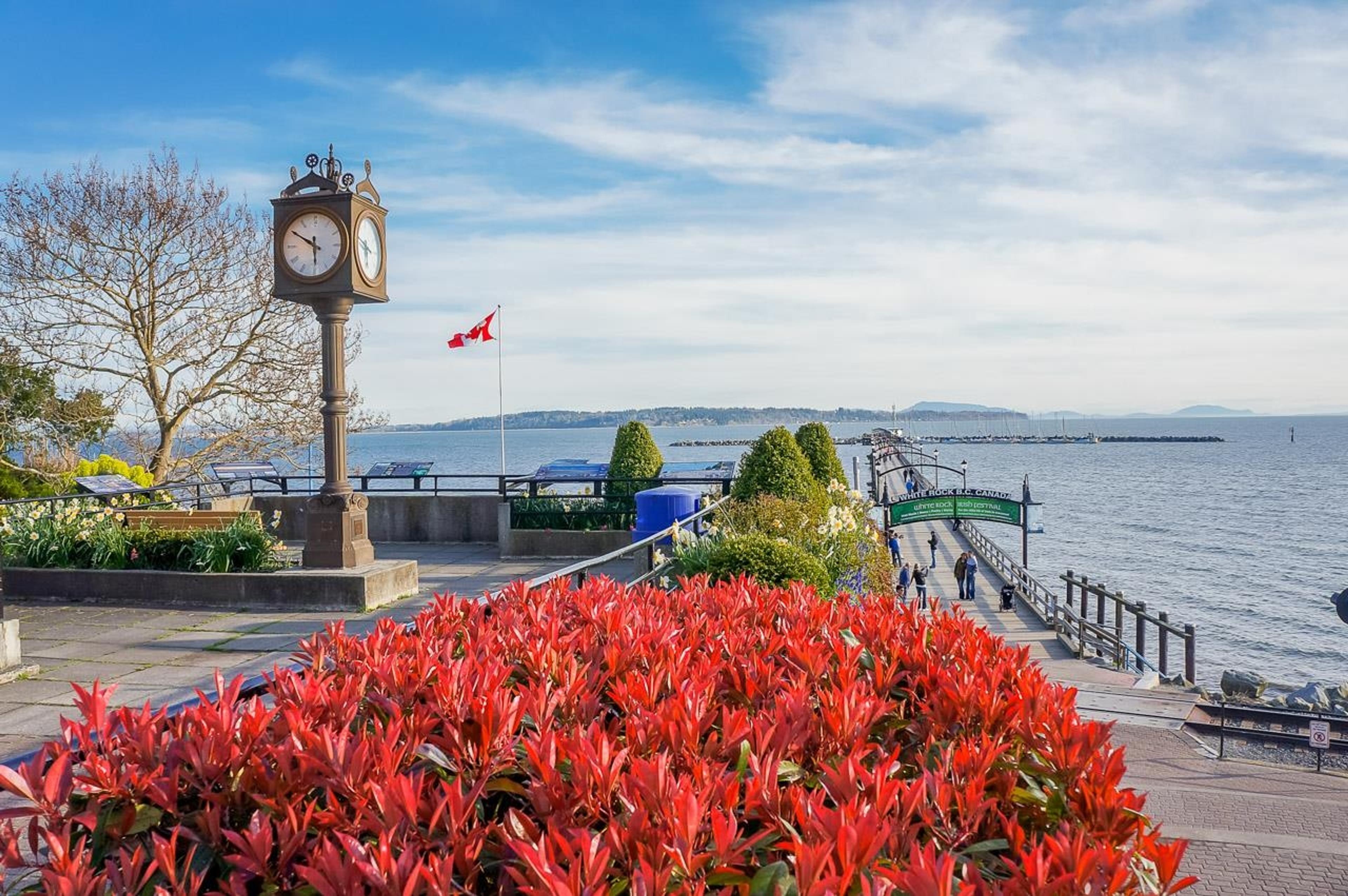 #1805 1500 MARTIN STREET - 20