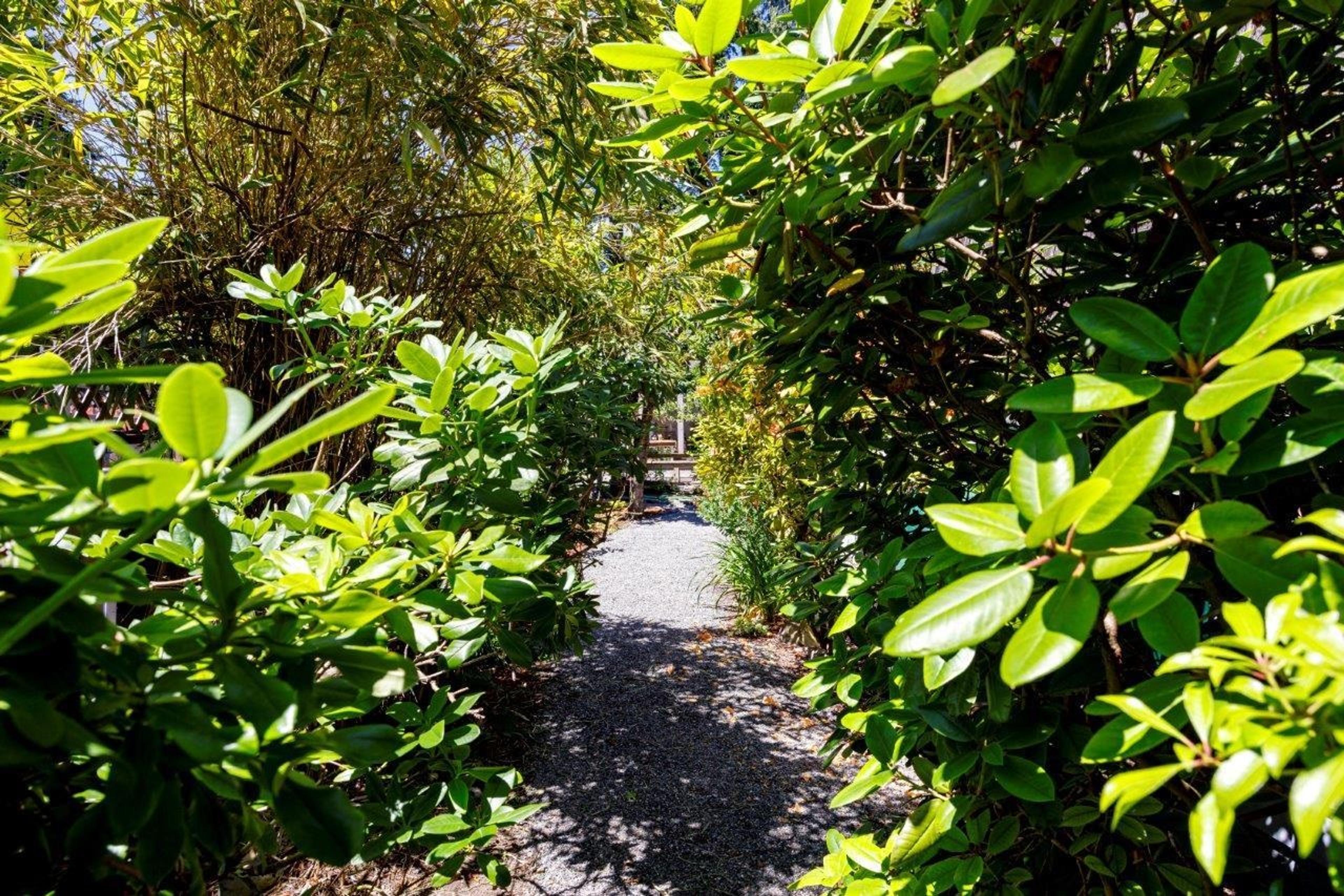 1108 LENORA ROAD - 27