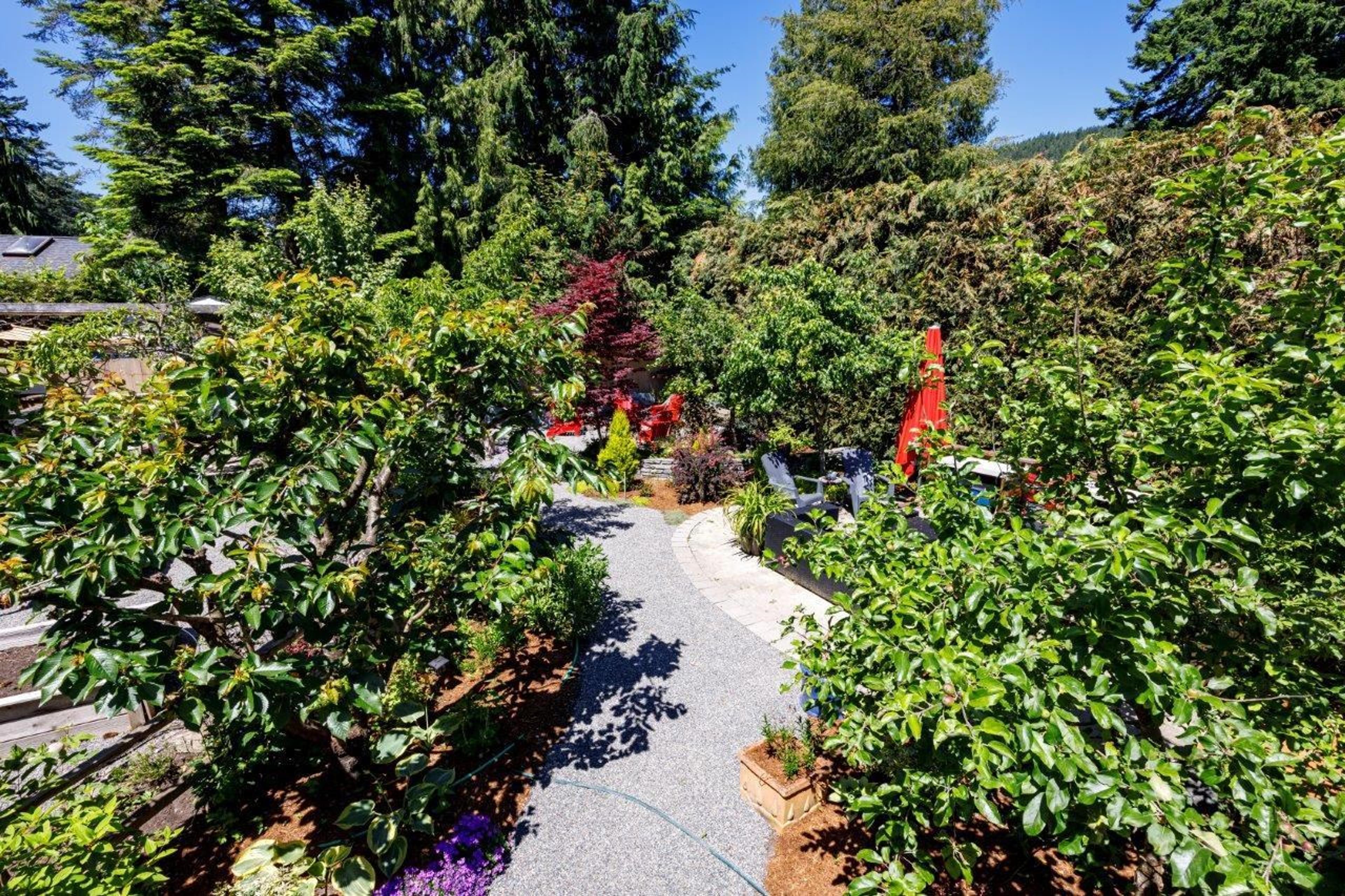 1108 LENORA ROAD - 31