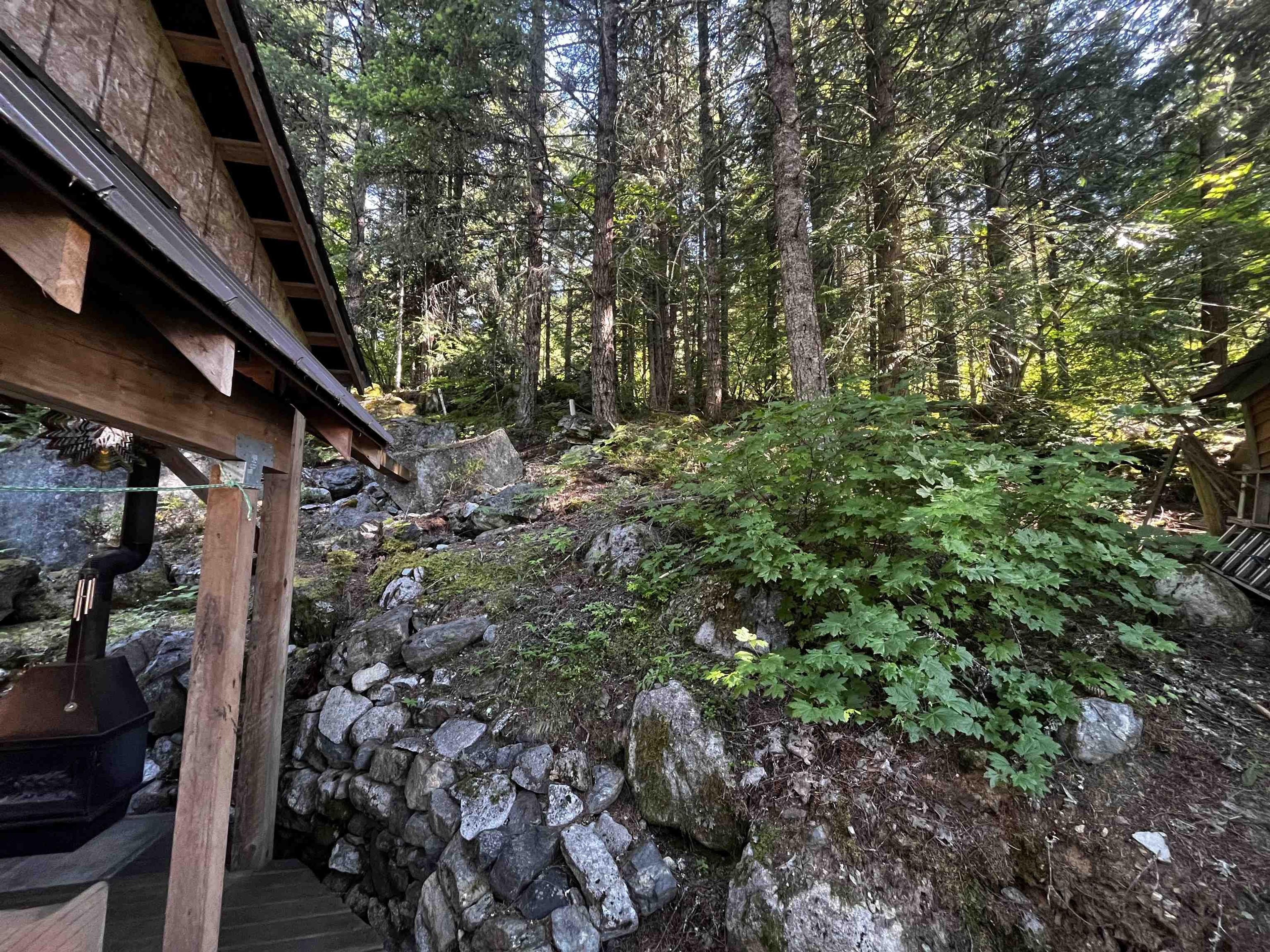 H59 BLUEBERRY CRESCENT - 12