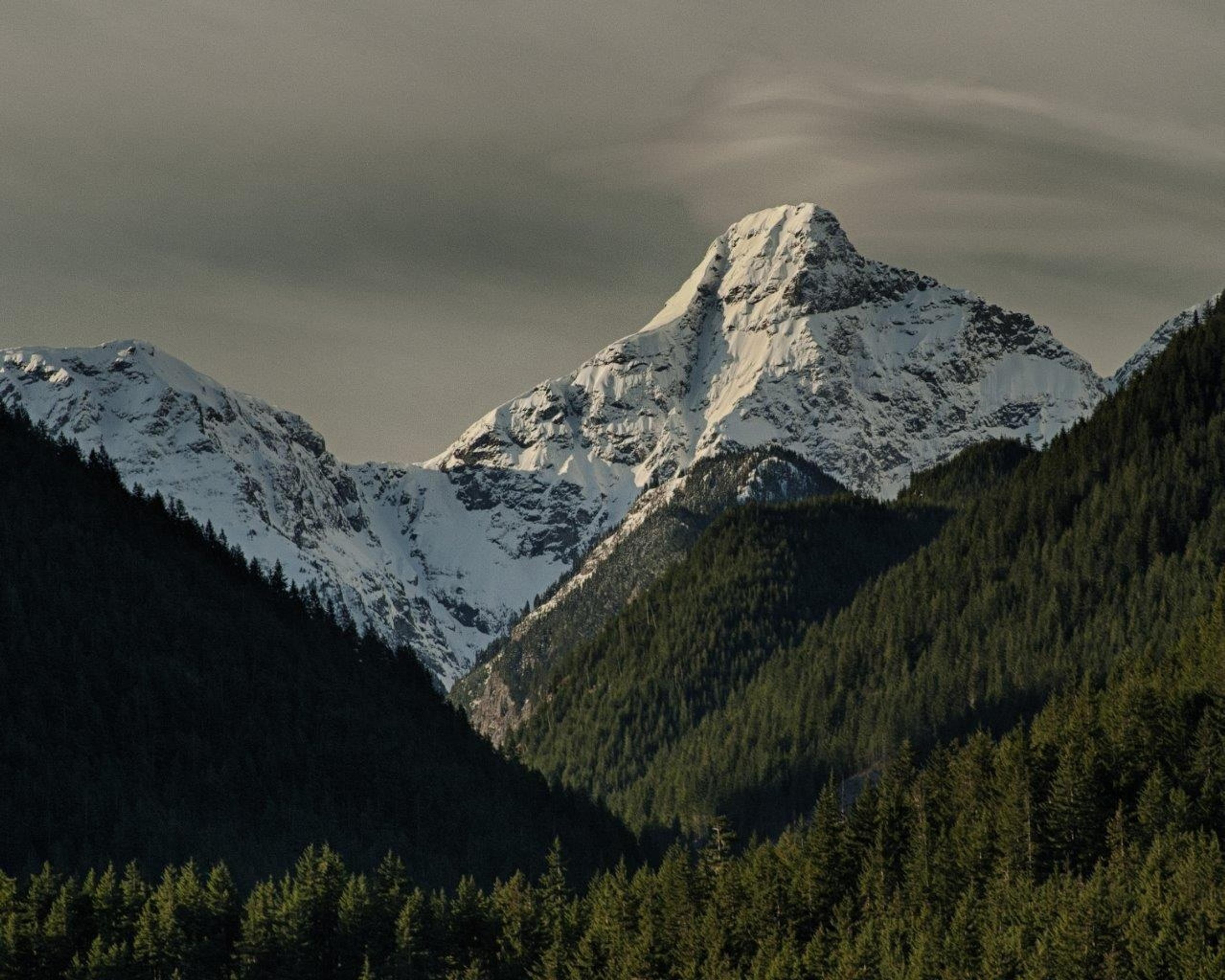 H59 BLUEBERRY CRESCENT - 37