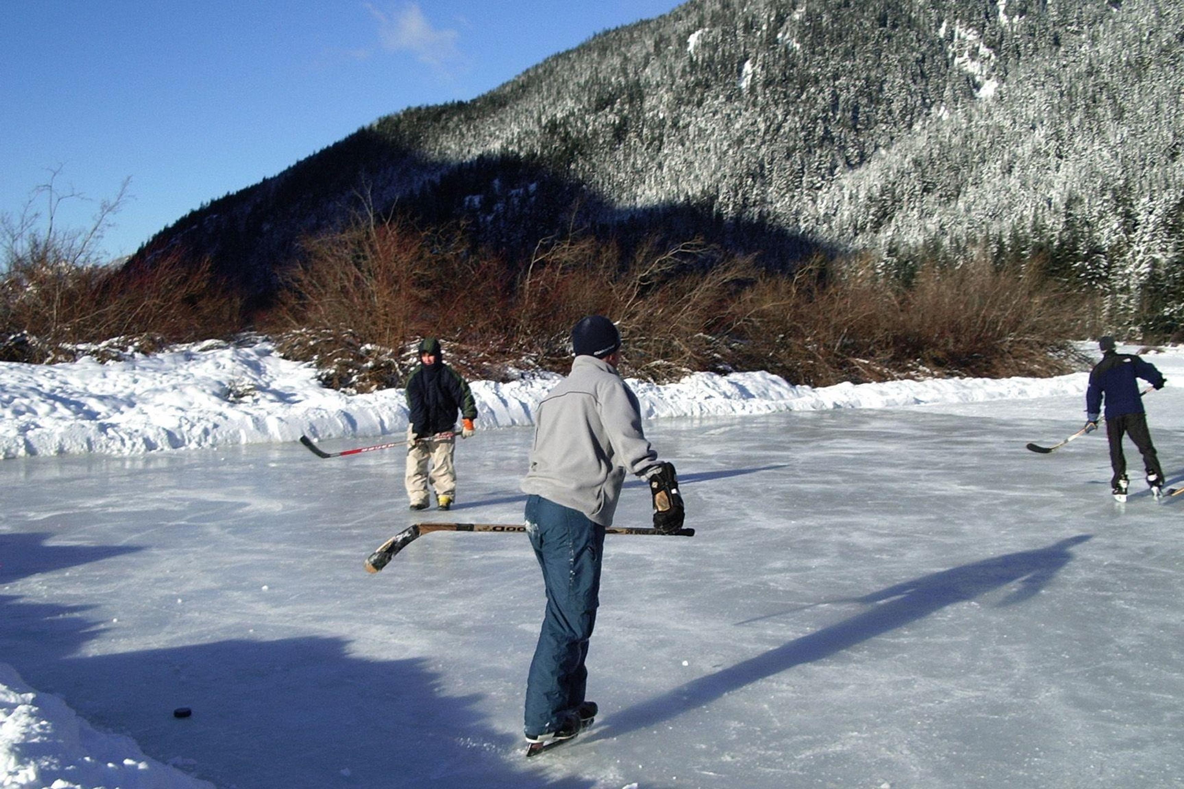 H59 BLUEBERRY CRESCENT - 39