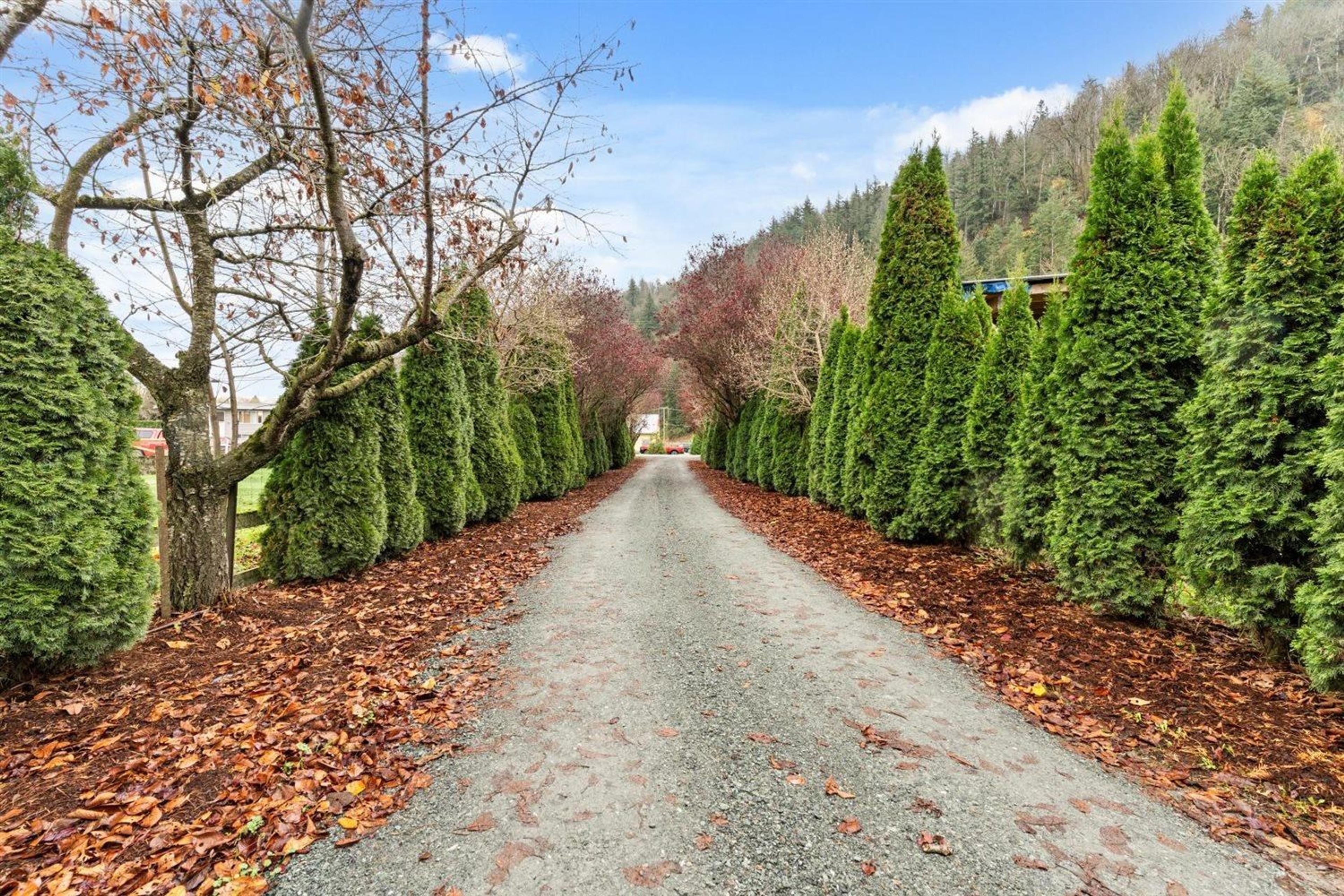 43057 VEDDER MOUNTAIN ROAD - 32