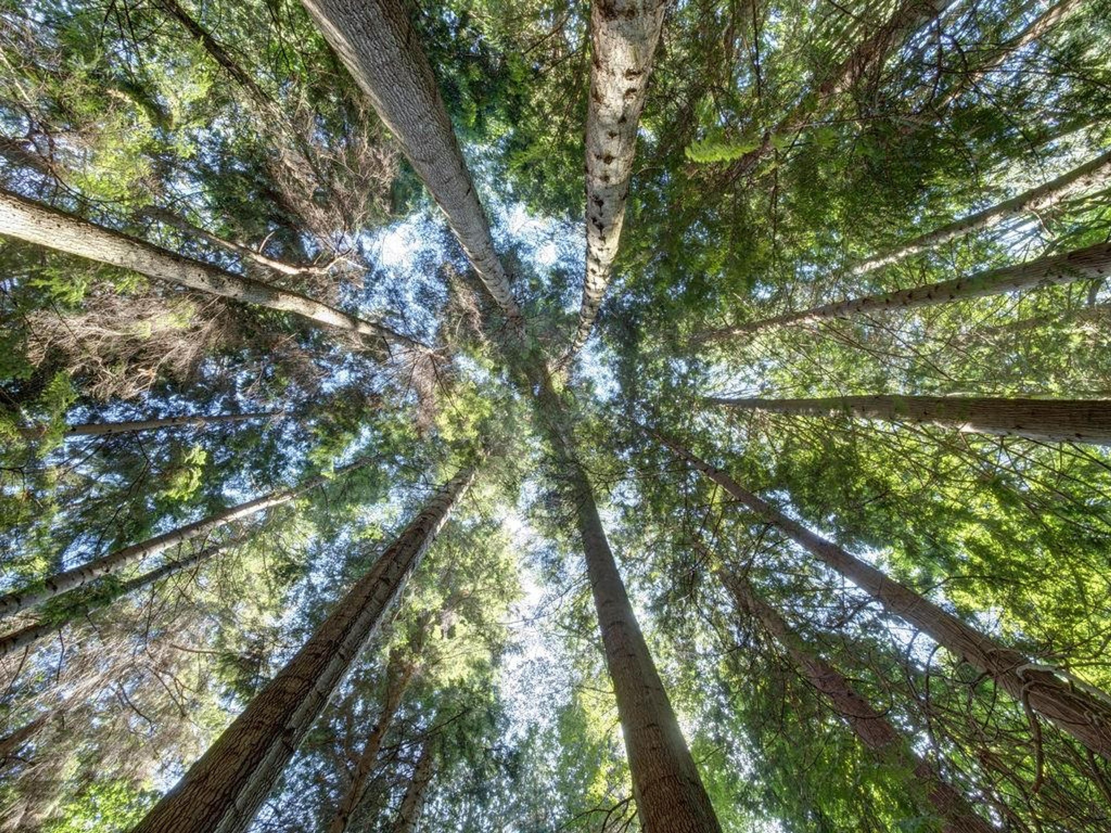 LOT 5 GOWER POINT ROAD - Image 9