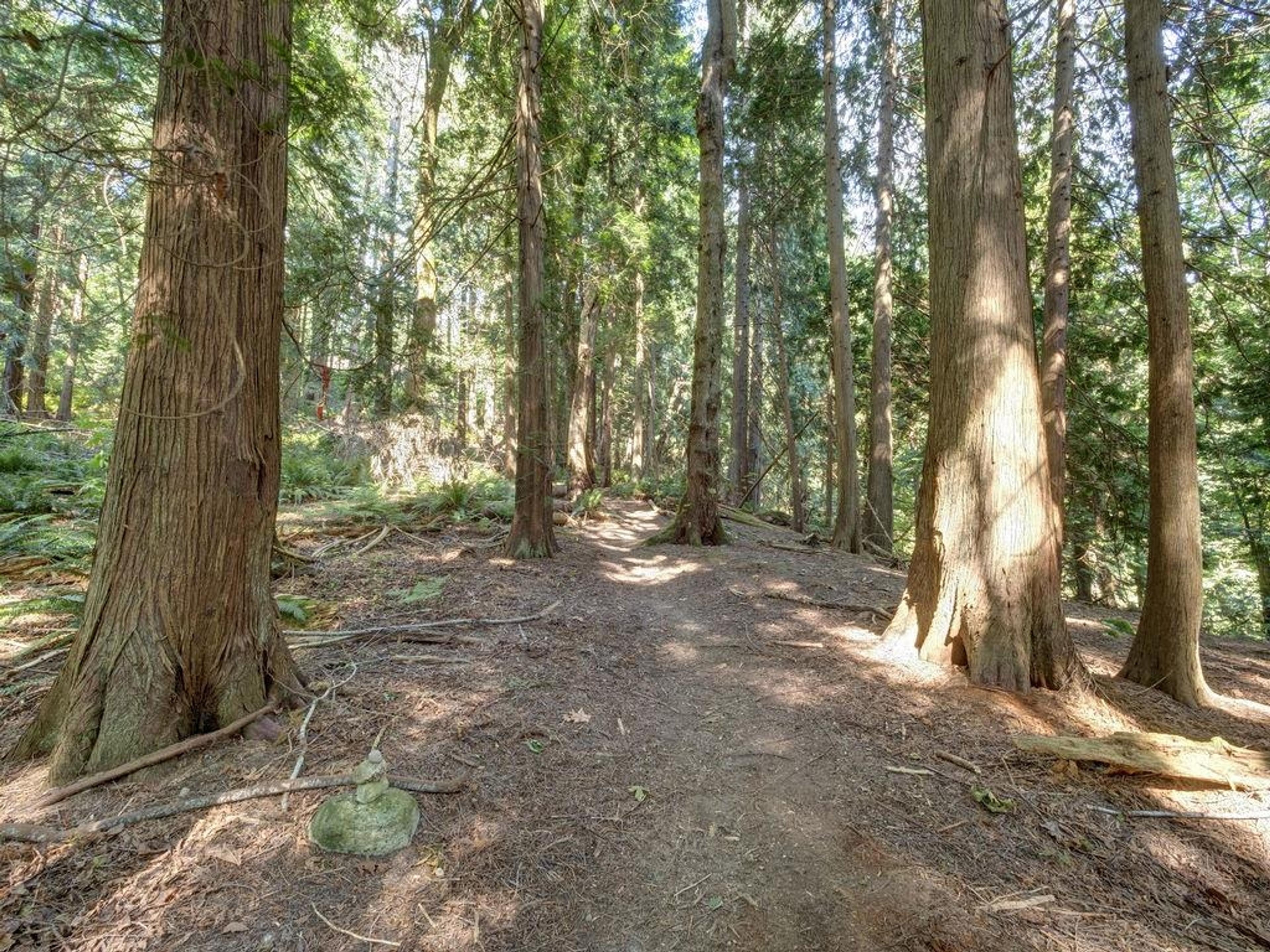 LOT 5 GOWER POINT ROAD - Image 10