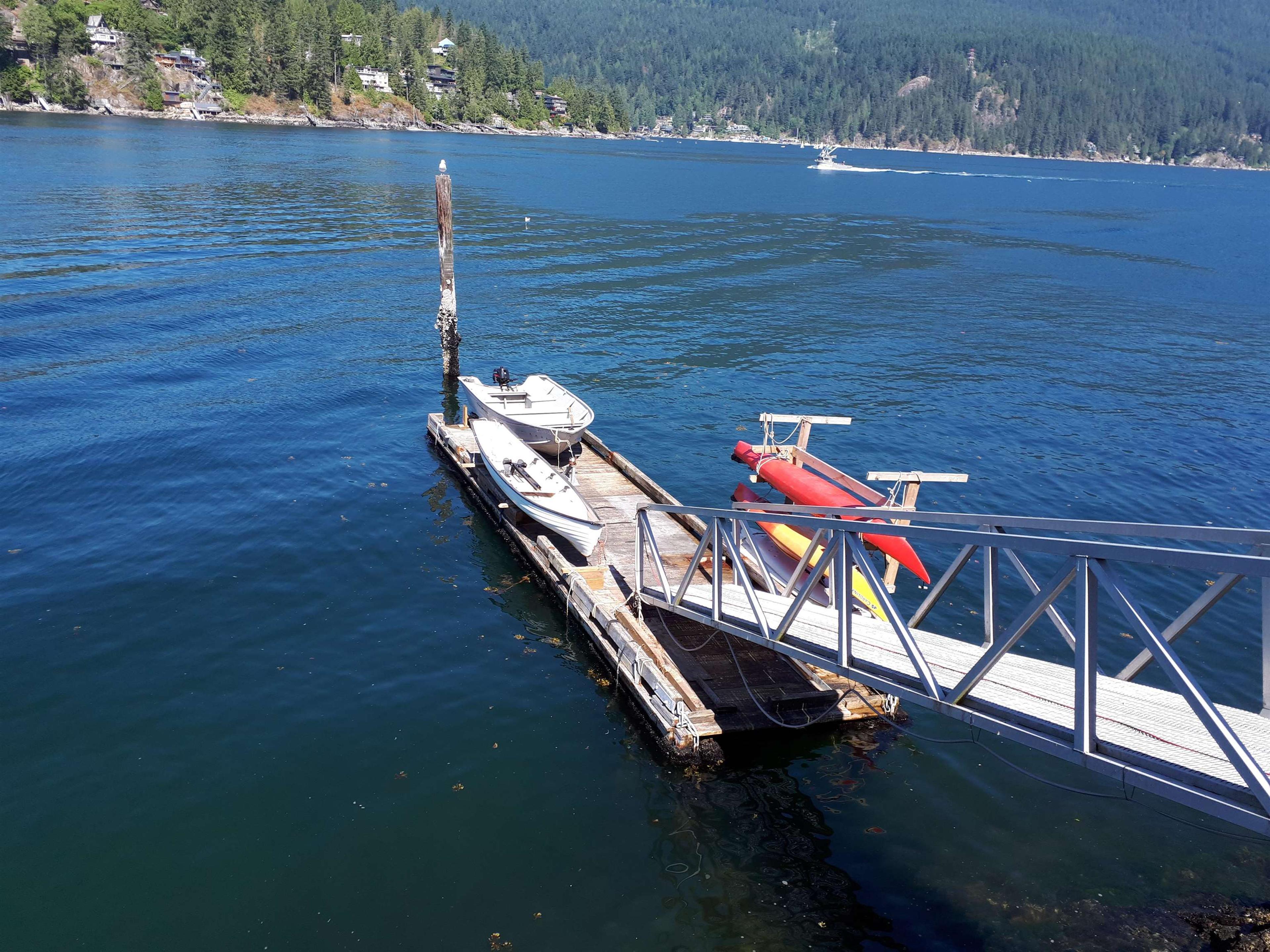 203 TURTLEHEAD ROAD - 6