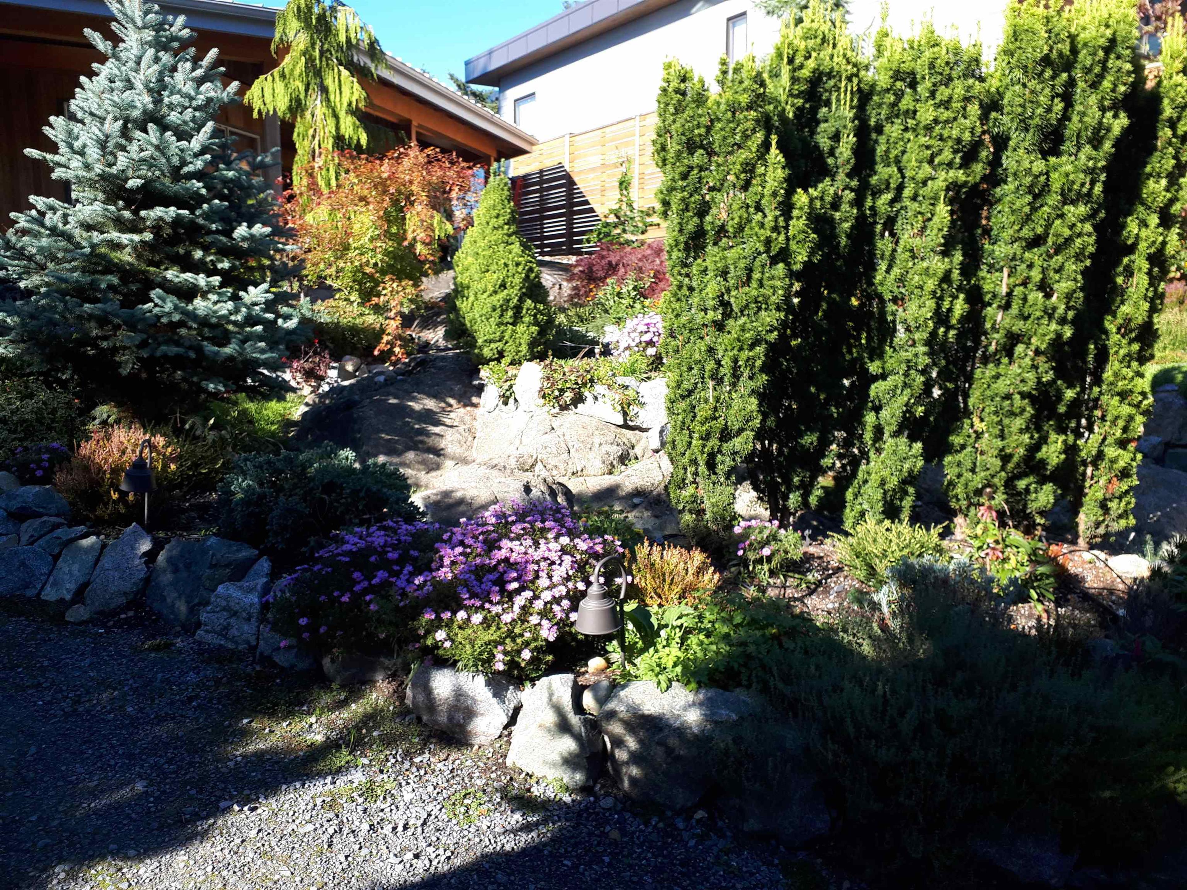 203 TURTLEHEAD ROAD - 17