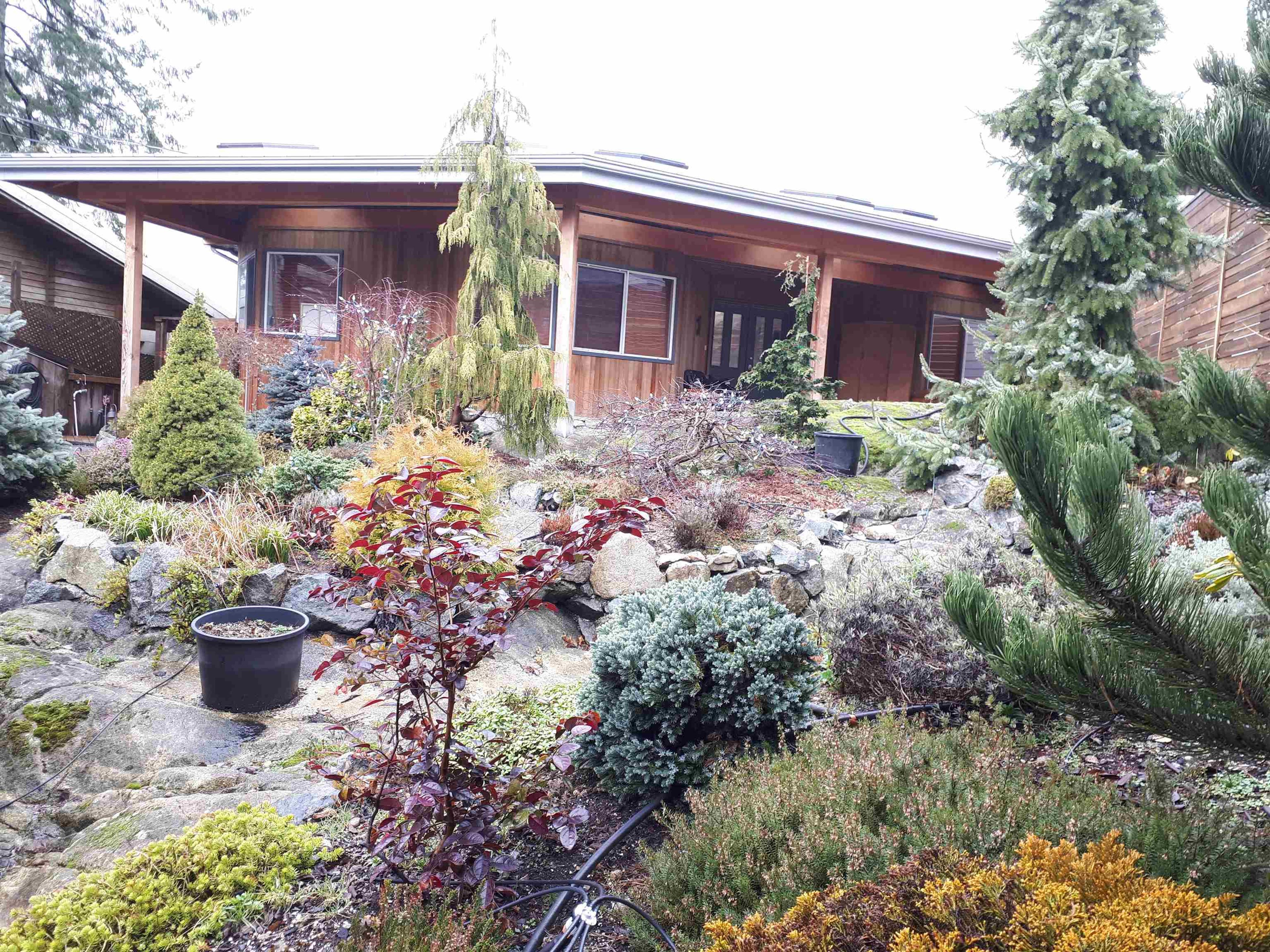 203 TURTLEHEAD ROAD - 19