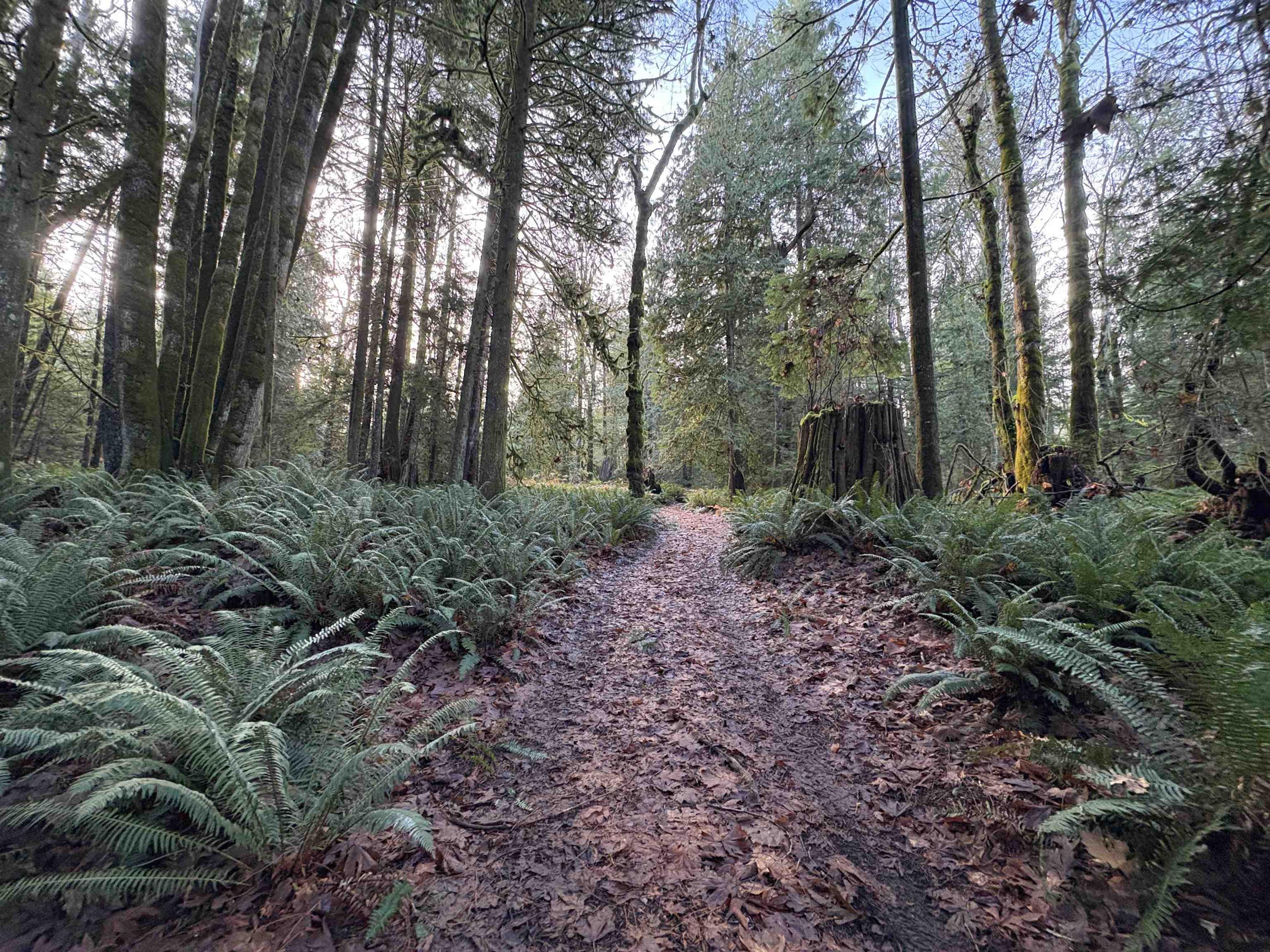 815 THE GROVE ROAD - 27