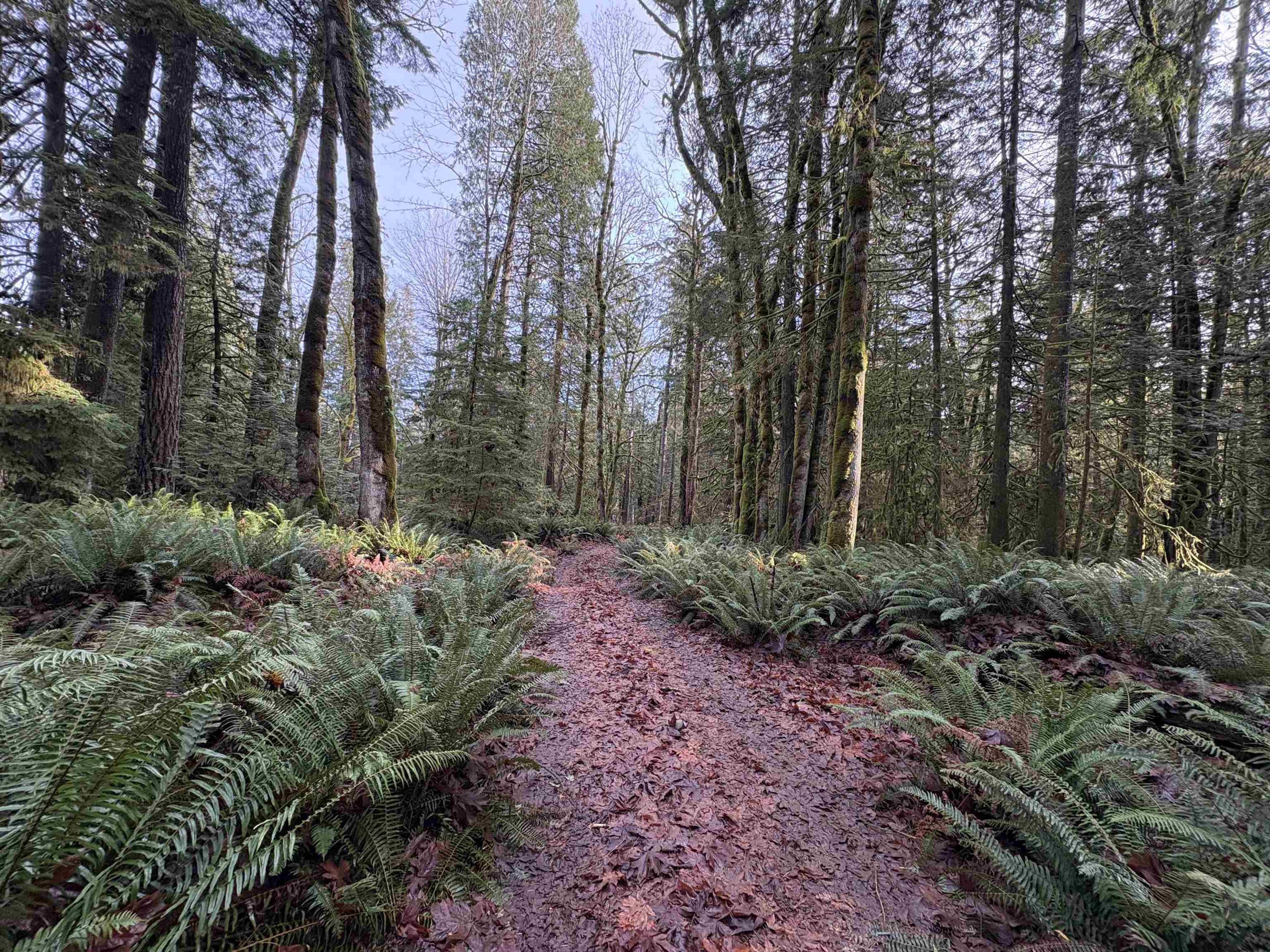 815 THE GROVE ROAD - 17