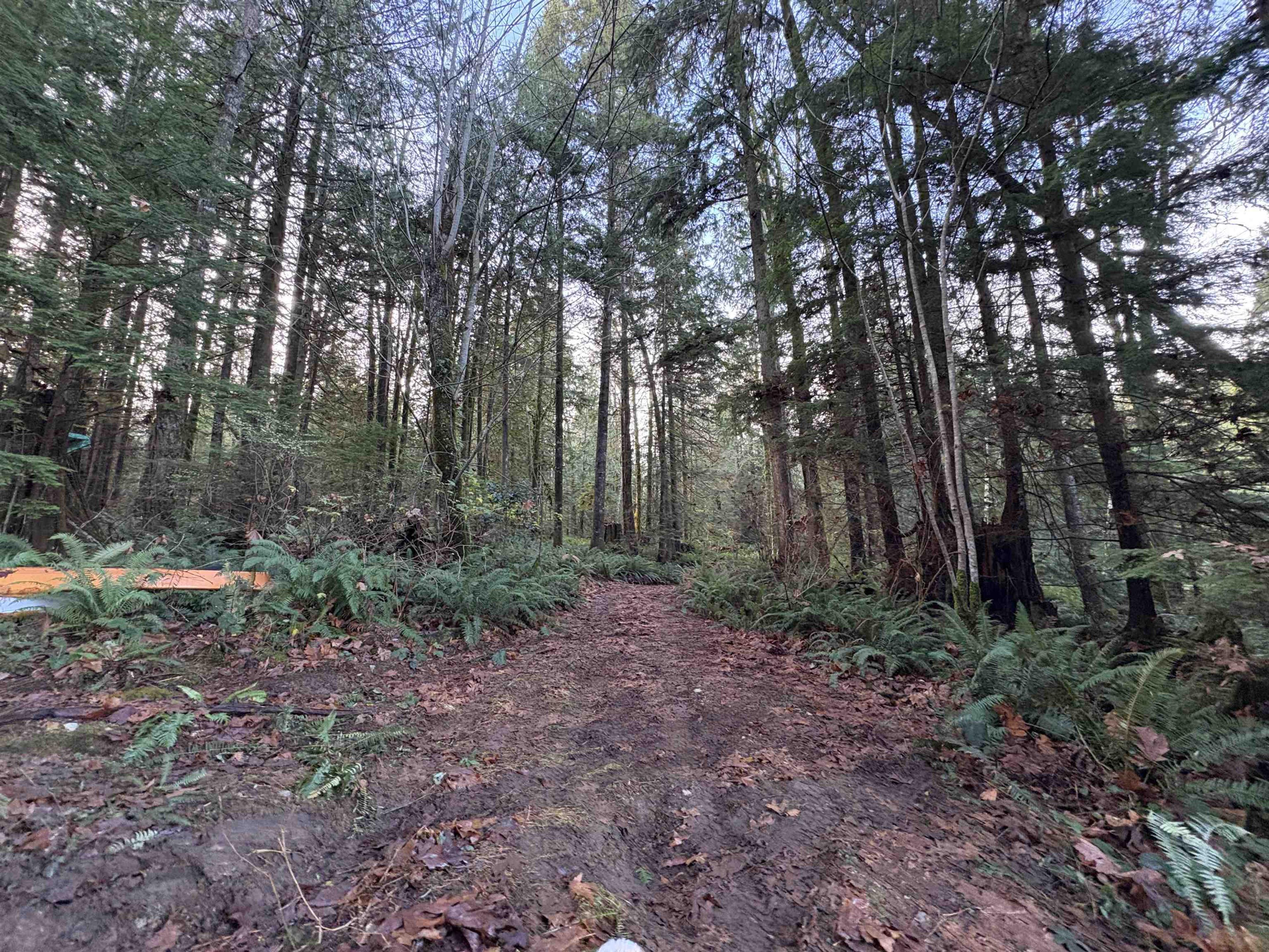 815 THE GROVE ROAD - 26