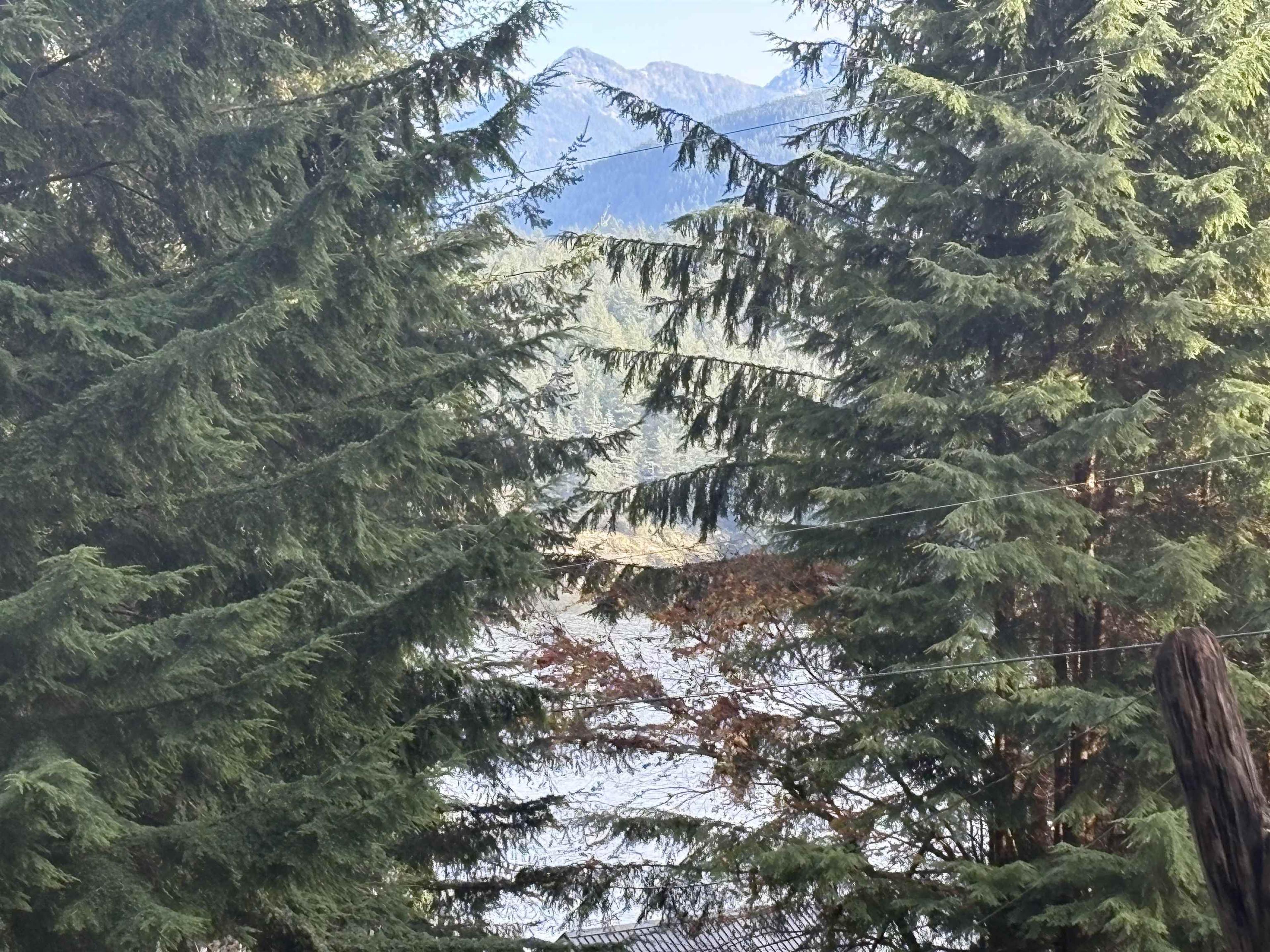 815 THE GROVE ROAD - Image 3