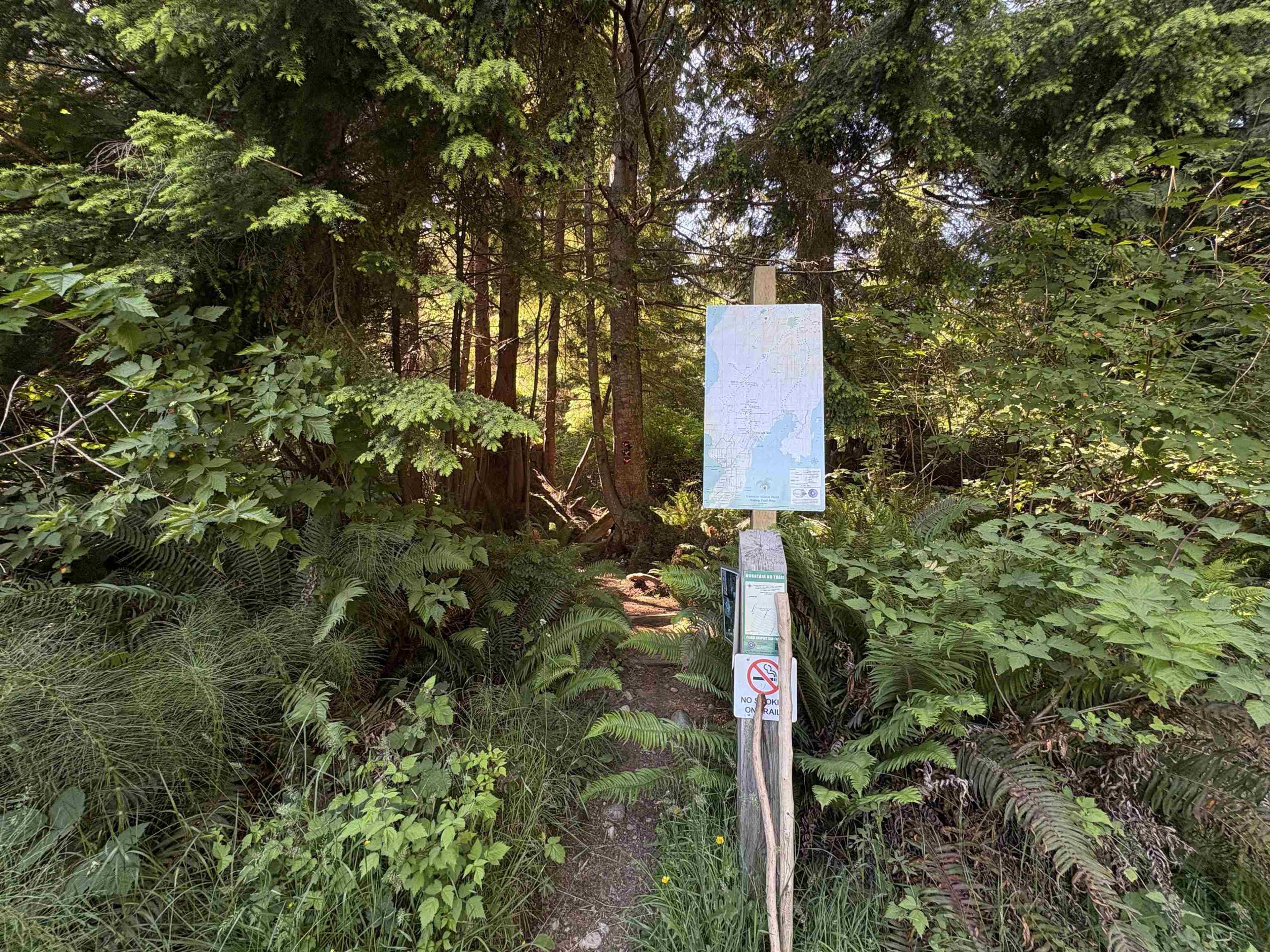 815 THE GROVE ROAD - 32