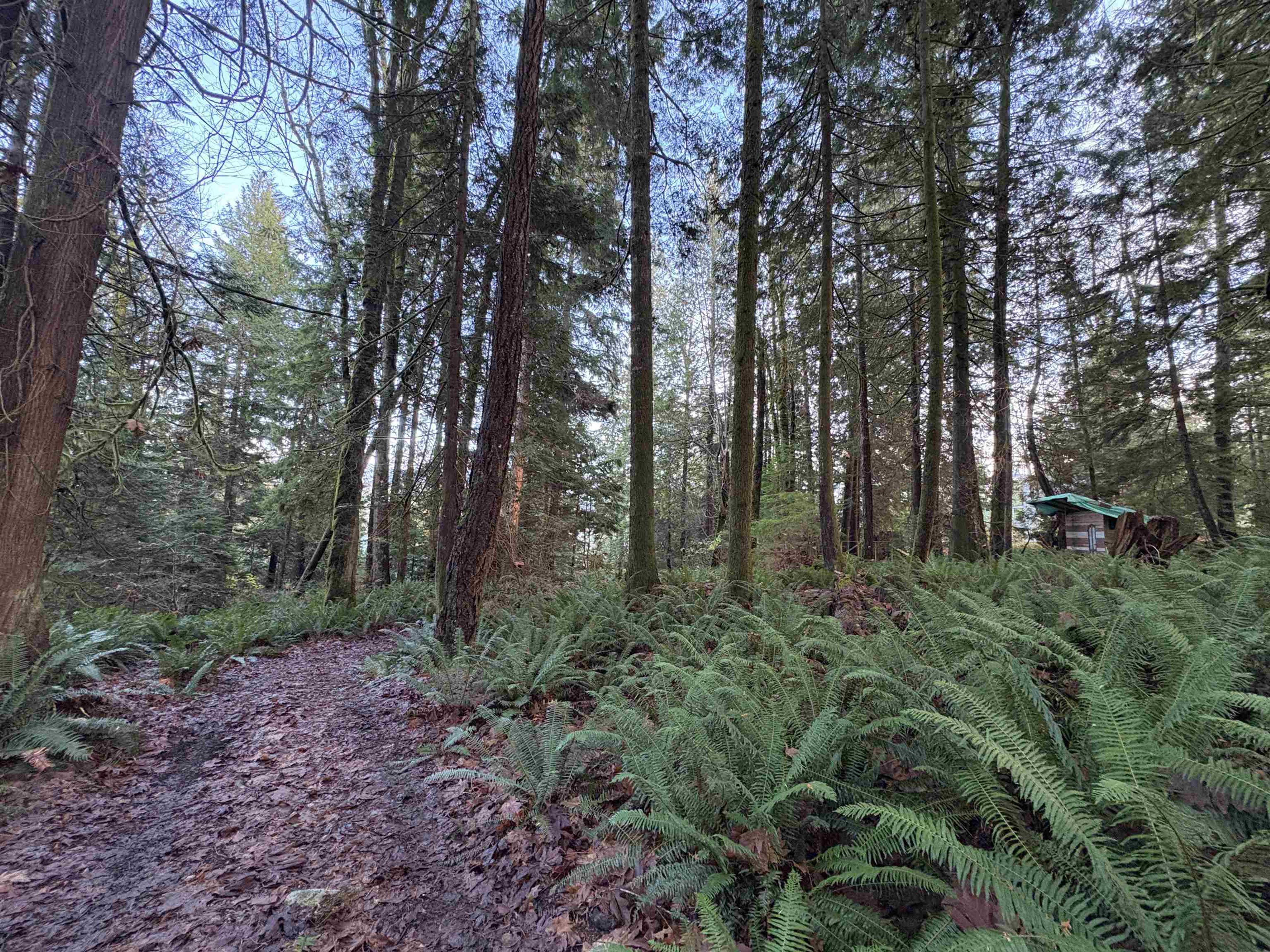 815 THE GROVE ROAD - 28